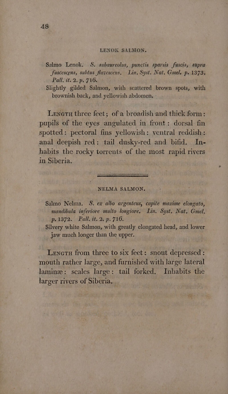 A8 LENOK SALMON. Salmo Lenok. 8S. subaureolus, punctis sparsis fuscis; supra Suscescens, subtus flavescens. Lin. Syst. Nat, Gmel. p. 1373, Pall. it. 2. p. 716. | Slightly gilded Salmon, with scattered brown spots, with brownish back, and yellowish abdomen. Lenetu three feet; of a broadish and thick form: pupils of the eyes angulated in front: dorsal fin spotted: pectoral fins yellowish: ventral reddish: anal deepish red: tail dusky-red and bifid. In- habits the rocky torrents of the most rapid rivers in Siberia. NELMA SALMON. Salmo Nelma. S. ex albo argenteus, capite maxime elongato, mandibula inferiore multo longiore. Lin. Syst. Nat. Gmel, p.1372. Pall. it. 2. p. 716. ; Silvery white Salmon, with greatly elongated head, and lower jaw much longer than the upper. Lenetu from three to six feet: snout depressed : mouth rather large, and furnished with large lateral laminz: scales large: tail forked. Inhabits the larger rivers of Siberia,