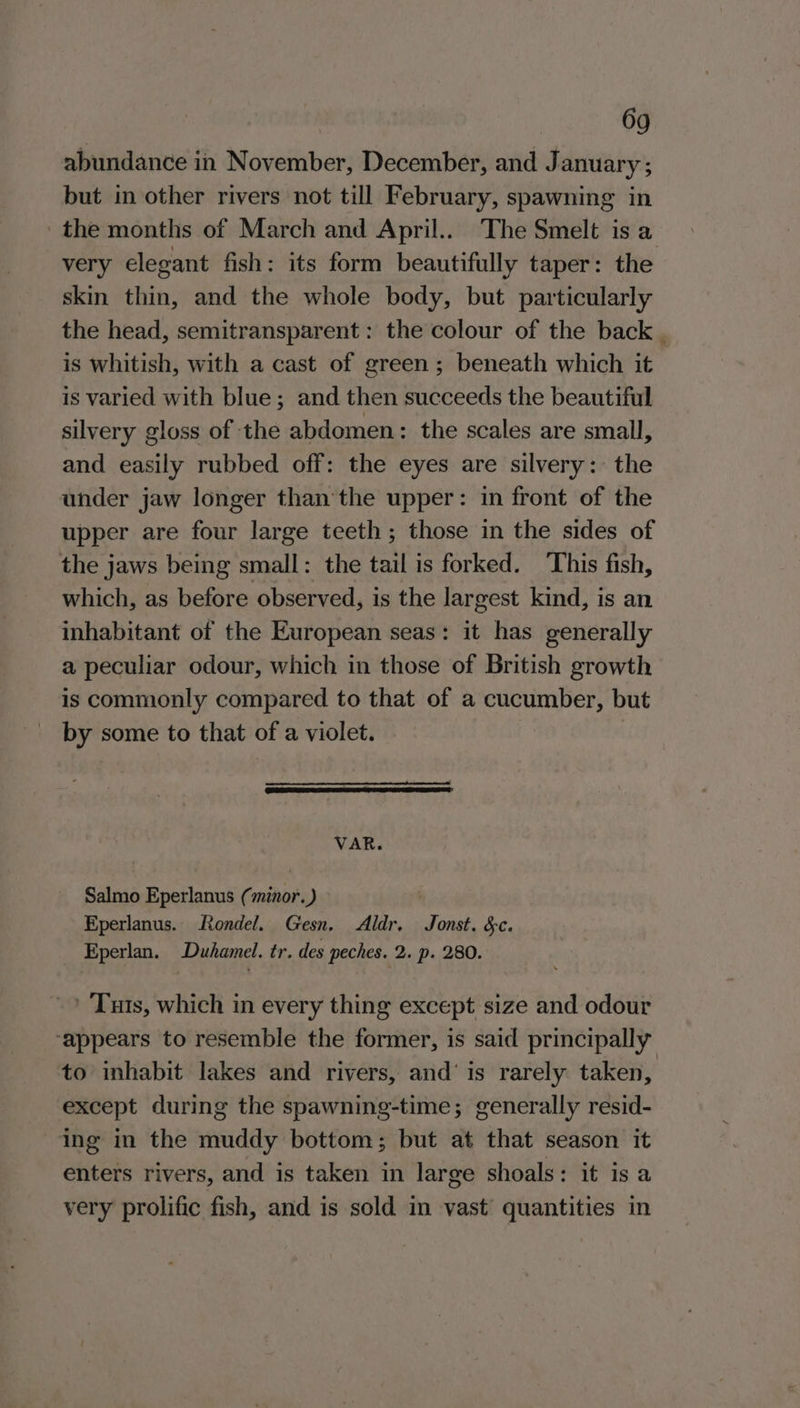 abundance in November, December, and January ; but in other rivers not till February, spawning in the months of March and April... The Smelt is a very elegant fish: its form beautifully taper: the skin thin, and the whole body, but particularly the head, semitransparent : the colour of the back . is whitish, with a cast of green ; beneath which it is varied with blue; and then succeeds the beautiful silvery gloss of the abdomen: the scales are small, and easily rubbed off: the eyes are silvery: the under jaw longer than'the upper: in front of the upper are four large teeth; those in the sides of the jaws being small: the tail is forked. This fish, which, as before observed, is the largest kind, is an inhabitant of the European seas: it has generally a peculiar odour, which in those of British growth is commonly compared to that of a cucumber, but by some to that of a violet. . a a tc RD A VAR. Salmo Eperlanus (minor. ) . Eperlanus. Rondel. Gesn, Aldr, Jonst. &amp;c. Eperlan. Duhamel. tr. des peches. 2. p. 280. -? Tuts, which in every thing except size and odour ‘appears to resemble the former, is said principally to inhabit lakes and rivers, and’ is rarely taken, except during the spawning-time; generally resid- ing in the muddy bottom; but at that season it enters rivers, and is taken in large shoals: it is a very prolific fish, and is sold in vast quantities in
