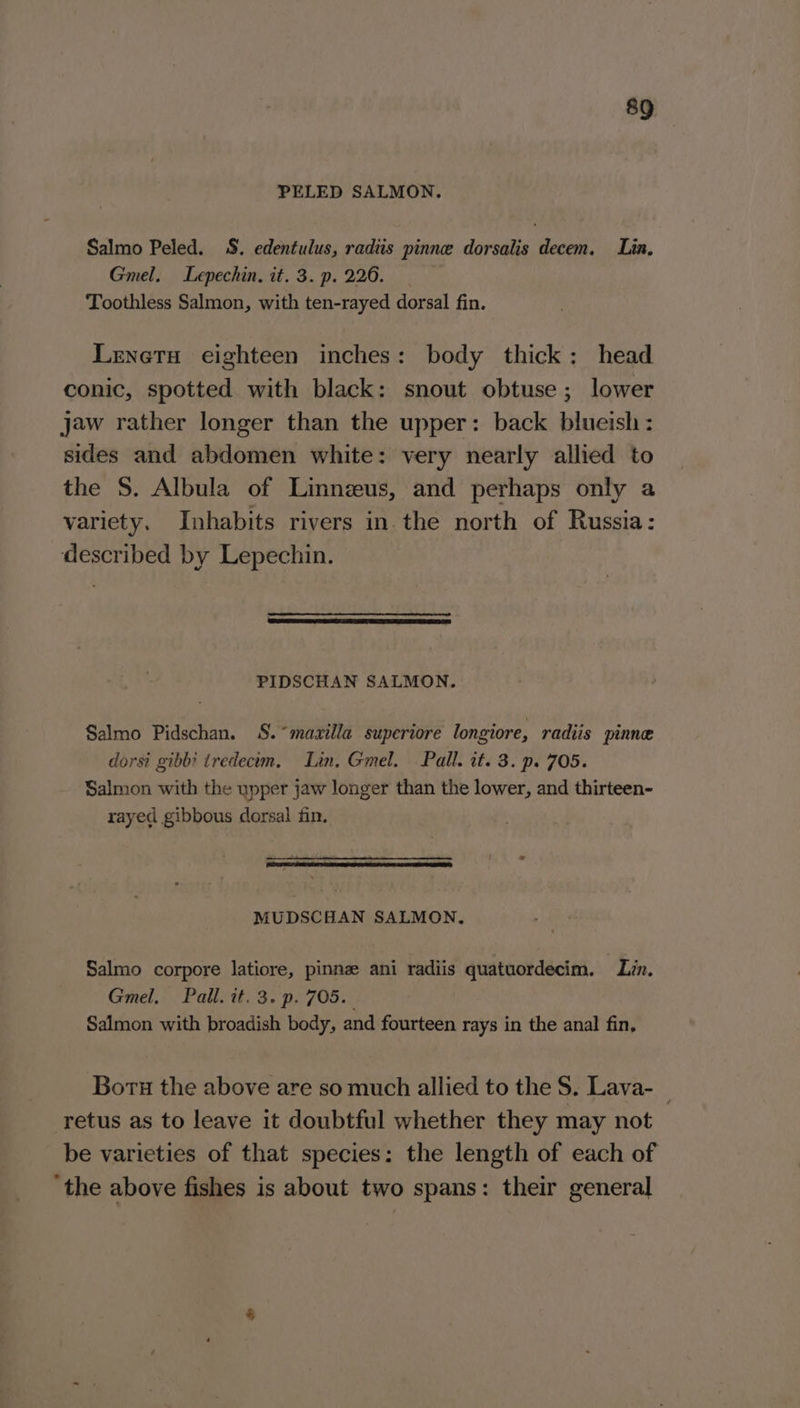 PELED SALMON. Salmo Peled. S. edentulus, radiis pinne dorsalis decem. Lin, Gmel. Lepechin. it. 3.p.226. = Toothless Salmon, with ten-rayed dorsal fin. Leneta eighteen inches: body thick: head conic, spotted with black: snout obtuse ; lower jaw rather longer than the upper: back blueish: sides and abdomen white: very nearly allied to the S. Albula of Linnzeus, and perhaps only a variety. Inhabits rivers in the north of Russia: described by Lepechin. QTE RO 1 eT EE RE PIDSCHAN SALMON. Salmo Pidschan. S.°masilla superiore longiore, radiis pinne dorsi gibbi tredecem. Lin. Gmel. Pall. it. 3. p. 705. Salmon with the upper jaw longer than the lower, and thirteen- rayed gibbous dorsal fin. MUDSCHAN SALMON, Salmo corpore latiore, pinnz ani radiis quatuordecim. Lin. Gmel, Pall. it. 3. p. 705. Salmon with broadish body, and fourteen rays in the anal fin, Boru the above are so much allied to the S. Lava- _ retus as to leave it doubtful whether they may not be varieties of that species: the length of each of ‘the above fishes is about two spans: their general