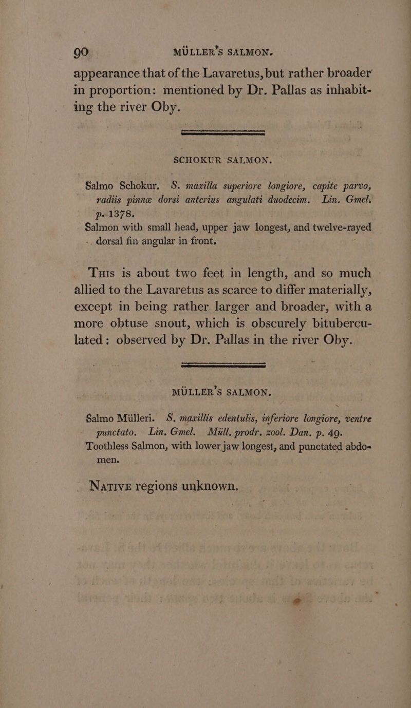 appearance that of the Lavaretus, but rather broader in proportion: mentioned by Dr. Pallas as inhabit- ing the river Oby. SCHOKUR SALMON. Salmo Schokur. S. mavilla superiore longiore, capite parvo, vadiis pinne dorsi anterius angulati duodecim. Lin. Gmel. pe 1378. Salmon with small head, upper jaw longest, and tWeaneneyes -. dorsal fin angular in front. Tus is about two feet in length, and so much allied to the Lavaretus as scarce to differ materially, except in being rather larger and broader, with a more obtuse snout, which is obscurely bitubercu- lated: observed by Dr. Pallas in the river Oby. ae MULLER’S SALMON. Salmo Milleri. S. mazillis edentulis, inferiore longiore, ventre punctato. Lin. Gmel. Mill. prodr. zool. Dan. p. 49. Toothless Salmon, with lower jaw longest, and punctated abdo- men. Native regions unknown.