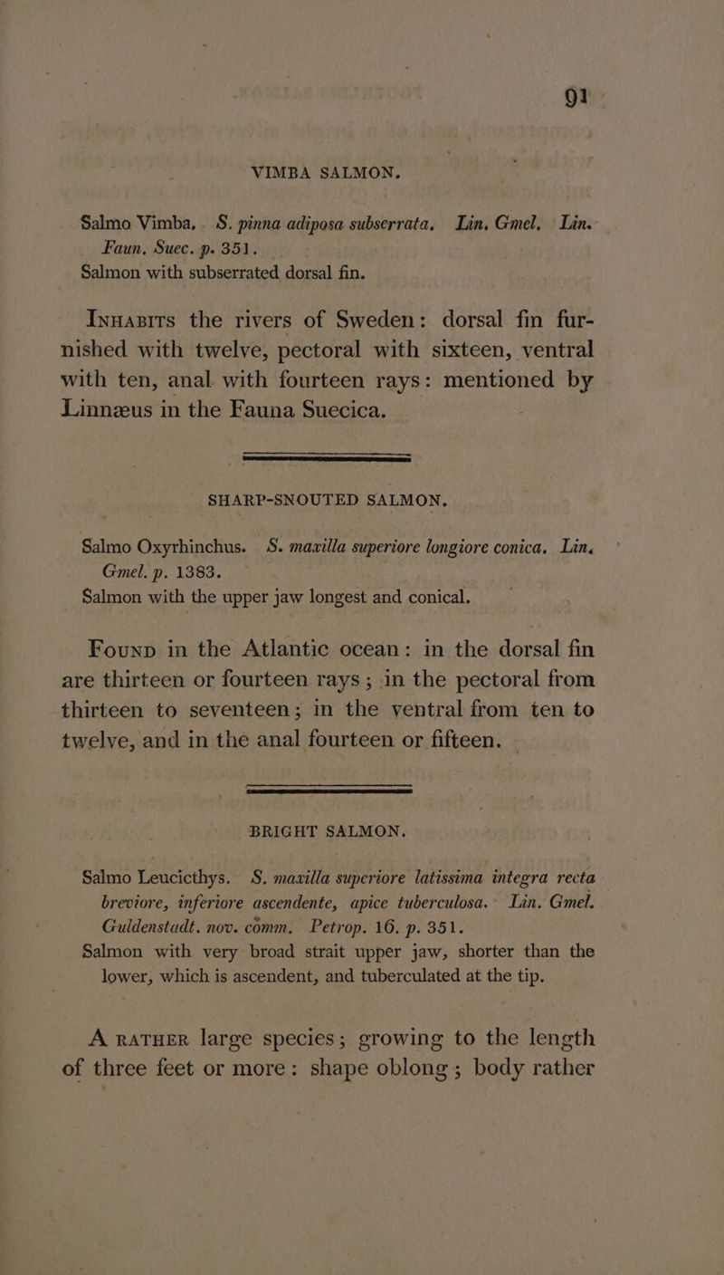 9! VIMBA SALMON. Salmo Vimba, . S. pinna adiposa subserrata, Lin, Gmel. — Lin. Faun, Suec. p. 351. Salmon with subserrated dorsal fin. Inuasits the rivers of Sweden: dorsal fm fur- nished with twelve, pectoral with sixteen, ventral with ten, anal with fourteen rays: mentioned by Linnzeus in the Fauna Suecica. SHARP-SNOUTED SALMON, Salmo Oxyrhinchus. 5S. mazilla superiore longiore conica, Lin. Gmel. p. 1383. Salmon with the upper jaw longest and conical. Founp in the Atlantic ocean: in the dorsal fin are thirteen or fourteen rays; in the pectoral from thirteen to seventeen; in the ventral from ten to twelve, and in the anal fourteen or fifteen. BRIGHT SALMON. Salmo Leucicthys. §S. maxilla superiore latissima integra recta — breviore, inferiore ascendente, apice tuberculosa.- Lin. Gmel. Guldenstadt. nov. comm. Petrop. 16. p. 351. Salmon with very broad strait upper jaw, shorter than the lower, which is ascendent, and tuberculated at the tip. A RATHER large species; growing to the length of three feet or more: shape oblong; body rather