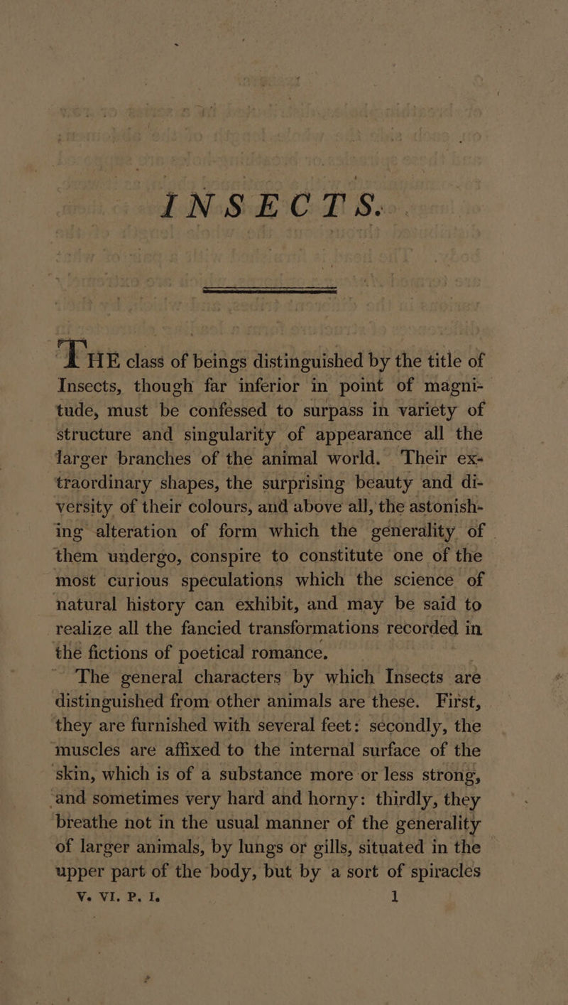 INSECTS. Tue class of beings distinguished by the title of Insects, though far inferior in point of magni-— tude, must be confessed to surpass in variety of structure and singularity of appearance all the larger branches of the animal world. Their ex- traordinary shapes, the surprising beauty and di- versity of their colours, and above all, the astonish- ing alteration of form which the generality of | them undergo, conspire to constitute one of the most curious speculations which the science of natural history can exhibit, and may be said to realize all the fancied transformations recorded in the fictions of poetical romance. The general characters by which Insects are distinguished from other animals are these. First, they are furnished with several feet: secondly, the muscles are affixed to the internal surface of the ‘skin, which is of a substance more or less strong, ‘and sometimes very hard and horny: thirdly, they breathe not in the usual manner of the gener ality of larger animals, by lungs or gills, situated in the upper part of the body, but by a sort of spiracles