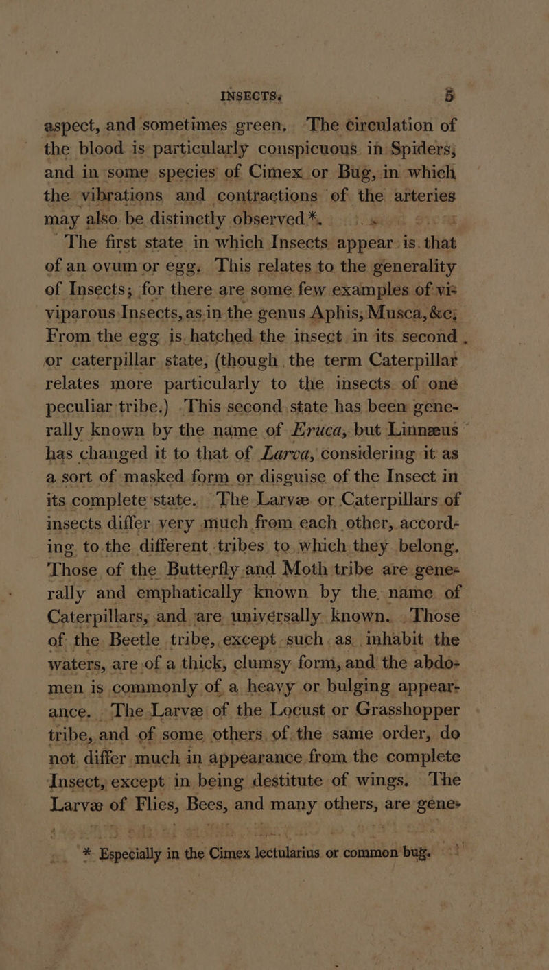 aspect, and sometimes green, The Circulation of the blood is particularly conspicuous. in Spiders; and in some species’ of Cimex or Bug, in which the vibrations and contractions of the arteries may § also. be distinctly observed*. ws So The first state in which Insects appear. is. that of an ovum or egg, This relates to the generality of Insects; . for there are some few examples of vis viparous Insects, as.in the genus Aphis; Musca, &amp;c; From the egg is. hatched. the insect in its second . or caterpillar state, (though the term Caterpillar relates more particularly to the insects of one peculiar tribe.) .This second. state has been gene- rally known by the name of Eruca, but Linneeus © has changed it to that of Larva, considering it as a sort of masked form or disguise of the Insect in its complete state. “The Larve. or Caterpillars of insects differ very much from each other, accords ing to.the different. tribes to, which they belong, Those of the Butterfly ; and Moth tribe are gene- rally and emphatically known by the, name. of Caterpillars; and are universally known. . Those of the Beetle tribe,. except such. as. inhabit the waters, are .of a thick, clumsy form, and the abdo- men is commonly of. a heayy or bulging appear- ance. - The Larve of the Locust or Grasshopper tribe, and of some others of the same order, do not. differ much in appearance from the complete Insect, except in being destitute of wings. The Larve of Flies, Bees, and many others, are genes % Especially in the Cimex lectularius or common bug.