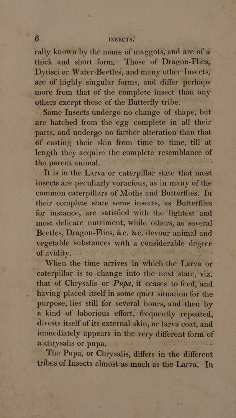 rally known by the name of maggots, and are of a’ thick and short form. Those of Dragon-Flies, Dytisci or Water-Beetles, and many other Insects, are of highly. singular forms, and differ perhaps more from that of the complete insect than any others except those of the Butterfly tribe. | Some Insects undergo no change of shape, but are hatched from the egg complete in all their parts, and undergo no farther alteration than that of casting their skin from time to time, till at length they acquire the complete’ resemblance of the parent animal. | | - sett It is in the Larva or caterpillar state that most insects are peculiarly voracious, as in many of the common caterpillars of Moths and Butterflies. In their complete state some insects, as Butterflies for instance, are satisfied with the lightest and most delicate nutriment, while others, as several Beetles, Dragon-Flies, &amp;c. &amp;c. devour animal and vegetable substances with a considerable degree of avidity. sea Mien $y ‘When. the time arrives in which the ae or caterpillar is to change into the next state, viz: that of Chrysalis or Pupa, it ceases to feed, and having placed itself in some quiet situation for the purpose, lies ‘still for several hours, and then by a kind of laborious effort, frequently repeated; divests itself of its external skin, or larva coat, and immediately appears in the very different form of a chrysalis or pupa. - : The Pupa, or Chrysalis, dlitfeis in the ‘different tribes of Insects almost:as much as the Larva; In
