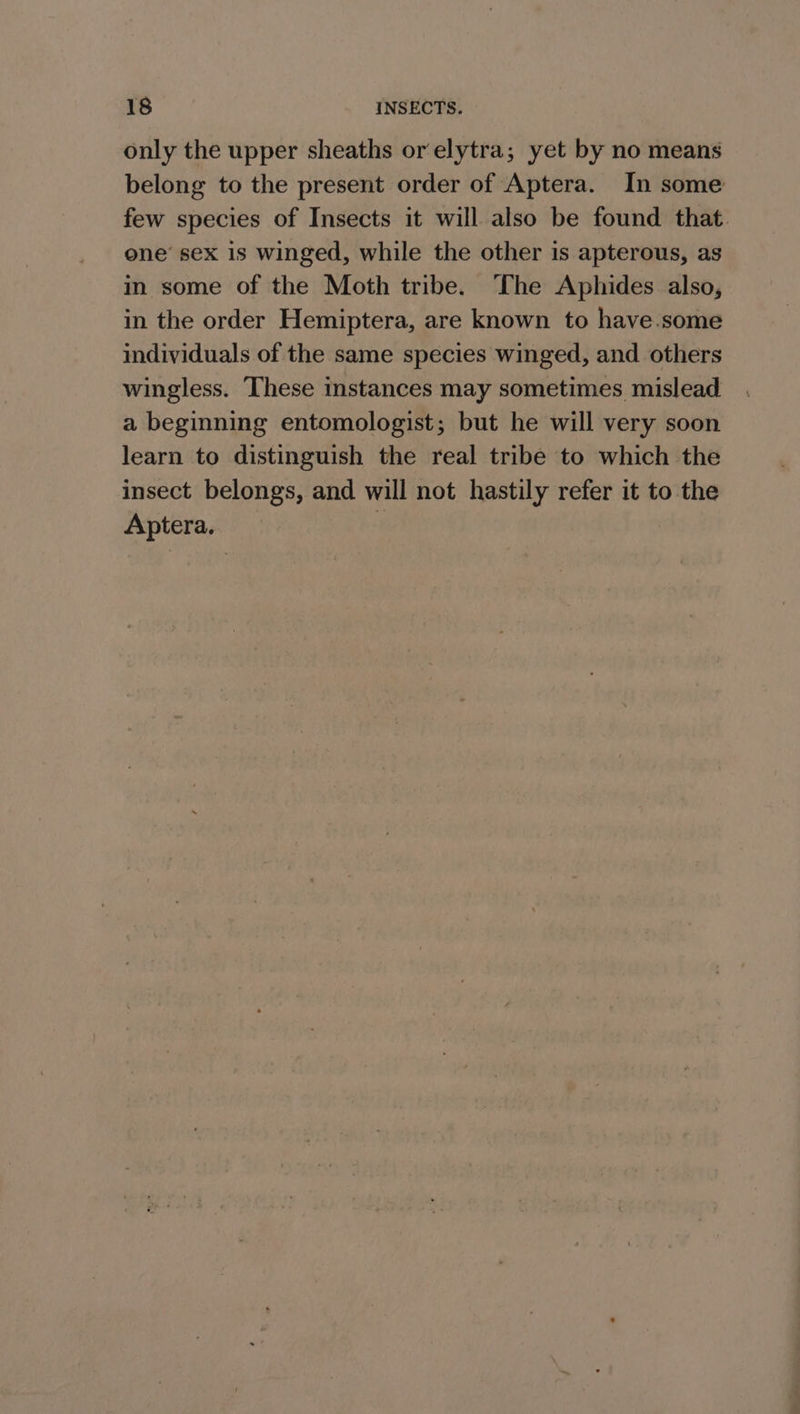 only the upper sheaths orelytra; yet by no means belong to the present order of Aptera. In some few species of Insects it will also be found that. one’ sex is winged, while the other is apterous, as in some of the Moth tribe. ‘The Aphides also, in the order Hemiptera, are known to have.some individuals of the same species winged, and others wingless. ‘These instances may sometimes mislead a beginning entomologist; but he will very soon learn to distinguish the real tribe to which the insect belongs, and will not hastily refer it to the Aptera. ’