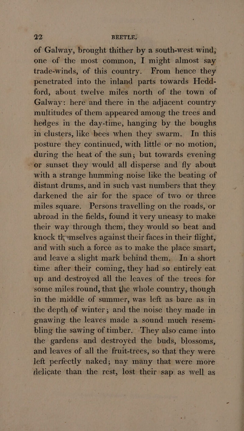of Galway, brought thither by a south-west wind; one of the most common, I might almost say trade-winds, of this country. From hence they penetrated into the inland parts towards Hedd- ford, about twelve miles north of the town of Galway: here and there in the adjacent country multitudes of them appeared among the trees and hedges in the day-time, hanging by the boughs in clusters, like bees when they swarm. In this posture they continued, with little or no motion, during the heat of the sun; but towards evening ~ or sunset they would all disperse and fly about with a strange humming noise like the beating of distant drums, and in such vast numbers that they darkened the air for the space of two or three miles square. Persons travelling on the roads, or abroad in the fields, found it very uneasy to make their way through them, they would so beat and knock tkemselves against their faces in their flight, and with such a force as to make the place smart, and leave a slight mark behind them. In a short time after their coming, they had so entirely eat up arid destroyed all the leaves of the trees for some miles round, that the whole country, though in the middle of summer, was left as bare as in the depth of winter; and the noise they made in gnawing the leaves made a sound much resem- bling the sawing of timber, They also came into the gardens and destroyed the buds, blossoms, and leaves of all the fruit-trees, so that they were left perfectly naked; nay many that were more delicate than the rest, lost their sap as well as