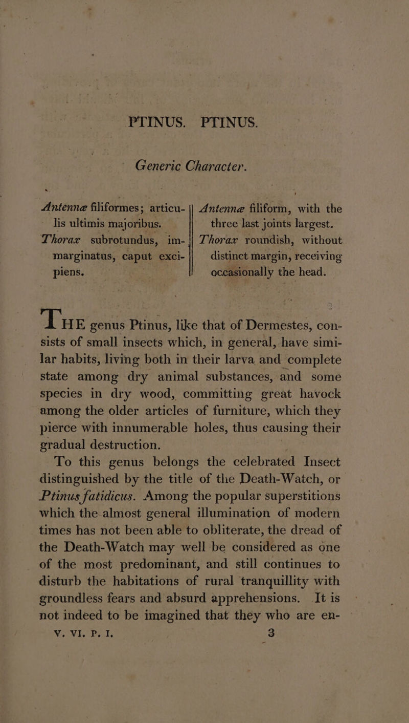 PTINUS. PTINUS. Generic Character. Antenne filiformes; articu- || Antenne filiform, with the lis ultimis majoribus. three last joints largest. Thorax subrotundus, im- || Thorar roundish, without marginatus, caput exci- distinct margin, receiving piens. | occasionally the head. Tue genus Ptinus, like that of Dermestes, con- sists of small insects which, in general, have simi- lar habits, living both in their larva and complete state among dry animal substances, and some species in dry wood, committing great havock among the older articles of furniture, which they pierce with innumerable holes, thus causing their gradual destruction. To this genus belongs the celebrated Insect distinguished by the title of the Death-Watch, or Ptinus fatidicus. Among the popular superstitions which the-almost general illumination of modern times has not been able to obliterate, the dread of the Death-Watch may well be considered as one of the most predominant, and still continues to disturb the habitations of rural tranquillity with groundless fears and absurd apprehensions. _It is not indeed to be imagined that they who are en- Vv. VI. P. I. ye 3 -