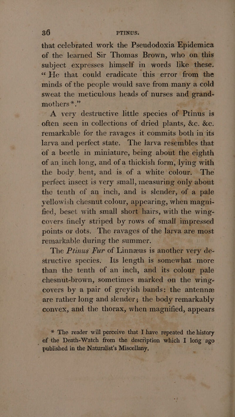 that celebrated work the Pseudodoxia Epidemica of the learned Sir Thomas Brown, who on this subject expresses himself in words like these. « He that could eradicate this error from the minds of the people would save from many a cold sweat the meticulous heads of nurses and grand- mothers *.” A very destructive little species of Ptinus is _ often seen in collections of dried plants, &amp;c. &amp;c. remarkable for the ravages it commits both in its larva and perfect state. The larva resembles that of a beetle in miniature, being about the eighth of an inch long, and of a thickish form, lying with the body bent, and: is of a white colour. The perfect insect is very small, measuring only about the tenth of an inch, and is slender, of a pale yellowish chesnut colour, appearing, when magni- fied, beset with small short hairs, with the wing- covers finely striped by rows of small impressed points or dots. The ravages of the larva are most remarkable during the summer. The Ptinus Fur of Linnzeus is another very de- structive species. Its length is somewhat more than the tenth of an inch, and its colour pale chesnut-brown, sometimes marked on the wing- covers by a pair of greyish bands: the antennz are rather long and slender; the body remarkably convex, and the thorax, when magnified, appears * The reader will perceive that I have repeated the histary _ of the Death-Watch from the description which I long ag0 published in the Naturalist’s Miscellany. on