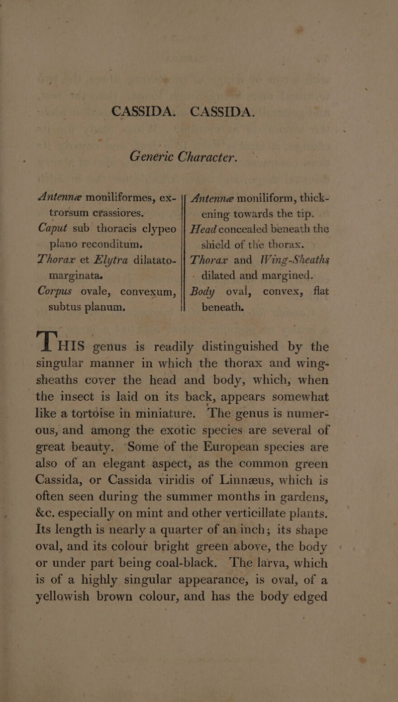 CASSIDA. CASSIDA. Generic Character. Antenne moniliformes, ex- || Antenne moniliform, thick- trorsum crassiores. || ening towards the tip. Caput sub thoracis clypeo || Head concealed beneath the piano reconditum. shield of the thorax. Lhoraxr et Elytra dilatato- |} Thoray and MWing-Sheaths marginata. - dilated and margined. Corpus ovale, convexum, || Body oval, convex, flat subtus planum, | beneath, | Tuts genus is readily distinguished by the singular manner in which the thorax and wing- sheaths cover the head and body, which, when the isect is laid on its back, appears somewhat like a tortoise in miniature. The genus is numer- ous, and among the exotic species are several of ereat beauty. ‘Some of the European species are also of an elegant aspect, as the common green Cassida, or Cassida viridis of Linnzeus, which is often seen during the summer months in gardens, &amp;c. especially on mint and other verticillate plants. Its length is nearly a quarter of an inch; its shape oval, and its colour bright green above, the body or under part being coal-black. ‘The larva, which is of a highly singular appearance, is oval, of a yellowish brown colour, and has the body edged