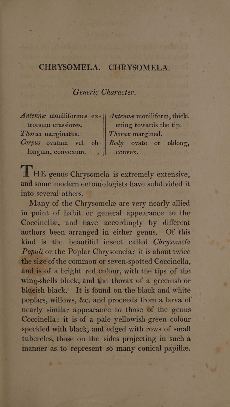 CHRYSOMELA. CHRYSOMELA. Generic Character. Antenne moniliformes ex- || dntenne moniliform, thick- trorsum crassiores. | ening towards the tip. Thorax marginatus. Thorax margined. Corpus ovatum vel ob- || Body ovate or oblong, longum, convexum. convex. | Tue genus Chrysomela is extremely extensive, and some modern entomologists have subdivided it into several others. Many of the Chrysomele are very nearly allied. in point of habit or general appearance to the Coccinelle, and have accordingly by different authors been arranged in either genus. Of this kind is the beautiful: insect called Chrysomela Populi or the Poplar Chrysomela: it is about twice the size of the common or seven-spotted Coccinella, and is-of a bright red colour, with the tips of the wing-shells black, and the thorax of a greenish or blueish black. It is found on the black and white poplars, willows, &amp;c. and proceeds from a larva of nearly similar appearance to those of the genus Coccinella: it is of a pale yellowish green colour ‘speckled with black, and edged with rows of small tubercles, those on the sides projecting m such a manner as to represent so many conical papillz.