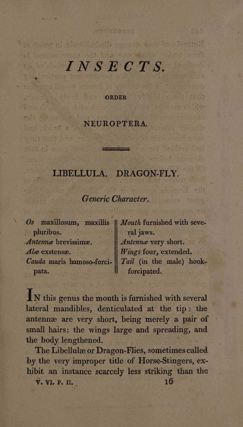 IN SE CTS. ORDER _NEUROPTERA. LIBELLULA, DRAGON-FLY. Generic Character. Os maxillosum, maxillis {| Mouth furnished with seve- pluribus. ral jaws. Antenne brevissime. — Antenne very short. Ale.exstense. Wings four, extended. Cauda maris hamoso-forci- || Zaz/ (in the male) hook- _ pata, | | forcipated. I N this genus the mouth is furnished with several lateral mandibles, denticulated at the tip: the antenne are very short, being merely a pair of small hairs: the wings large and spreading, and the body lengthened. | The Libellule or Dragon-Flies, sometimes called by the very improper title of Horse-Stingers, ex- hibit an instance scarcely less striking than the