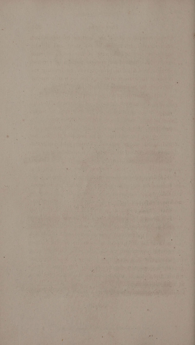 Lane | ‘ , € * &gt; eee . Hs = % ma! ee a ie 5 A i NS 5 Sa re nd 4 &gt; OE eat) . ay : oe ' f ™ ‘ “ay I See 7 ‘ . HY { uy z¢ eeeh a ‘ yee we . ; it vat ch a “ * y RT FOES el ema oe uf rf, as 4 ae 7 “oe SS x + EIS al ‘ at tec PE Spt he rere