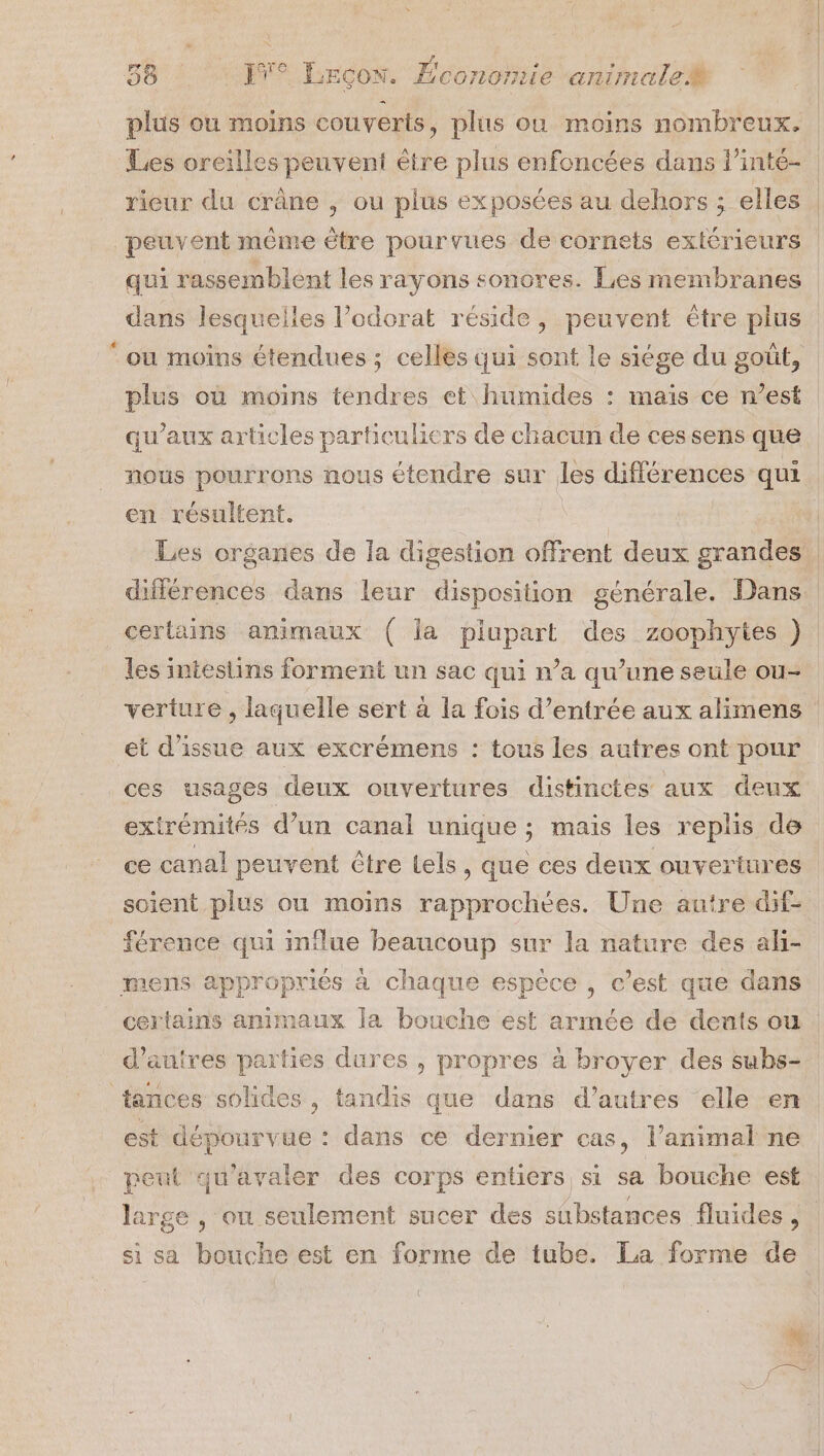 plus ou moins couverts, plus ou moins nombreux. Les oreilles peuvent être plus enfoncées dans l'inté- rieur du crâne ; ou plus exposées au dehors ; elles peuvent même être pourvues de cornets extérieurs | qui rassemblent les rayons sonores. Les membranes dans lesquelles l’odorat réside, peuvent être plus ‘ou moins étendues ; celles qui sont le siége du goût, plus où moins tendres et humides : maïs ce n’est qu'aux articles particuliers de chacun de ces sens que nous pourrons nous étendre sur les différences qui en résultent. Les organes de la digestion offrent deux grandes | différences dans leur disposition générale. Dans certains animaux ( la plupart des zoophytes ) les intestins forment un sac qui n’a qu’une seule ou- verture , laquelle sert à la fois d'entrée aux alimens et d'issue aux excrémens : tous les autres ont pour ces usages deux ouvertures distinctes aux deux extrémités d’un canal unique ; mais les replis de ce canal peuvent être tels, que ces deux ouvertures soient plus ou moins rapprochées. Une autre dif- férence qui influe beaucoup sur la nature des ali- mens appropriés à chaque espèce , c’est que dans certains animaux la bouche est armée de dents ou. d’autres parties dures , propres à broyer des subs- _ tances solides, tandis que dans d’autres elle en est dépourvue : dans ce dernier cas, l'animal ne peut qu'avaler des corps entiers si sa bouche est large , ou seulement sucer des substances fluides, si sa bouche est en forme de tube. La forme de { *: |