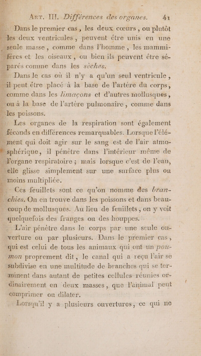 … Dans le premier cas , les deux cœurs , ou plutôt “les deux ventricules , peuvent être unis en une seule masse , comme dans l’homme , les mammi- fères et les oiseaux, ou bien ils peuvent être sé- …parés comme dans les sèches. | + Dans le cas où il n’y a qu’un seul ventricule, n peut être placé à la base de l’artère du corps, comme dans les limaçcons et d’autres mollusques, ou à la base de l’artère pulmonaire , comme dans . “les poissons. | “= Les organes de la respiration sont également Héconds en différences remarquables. Lorsque l'élé- “ ment qui doit agir sur le sang est de l’air atmo- j “sphérique, il pénètre dans l’intérieur même de » Vorgane respiratoire ; mais lorsque c’est de l’eau, elle glisse simplement sur une surface plus ou Le “ moins multipliée. :- Ces feuillets sont ce qu’on nomme des bran- Nchies. On en trouve dans les poissons et dans beau- - coup de mollusques. Âu lieu de feuillets, on y voit quelquefois des franges ou des houppes. L'air pénètre dans le corps par une seule où- “verture où par plusieurs. Dans le premier cas, qui est celui de tous les animaux qui ont un pou- mon proprement dit, le canal qui a reçu l'air se subdivise en une multitude de branches qui se ter- minent dans autant de petites cellules: réunies ot- dinairement en deux masses, que l’annmal peut domprimer ou dilater. | Lorsqu'il y a plusieurs ouvertures, ce qui n6