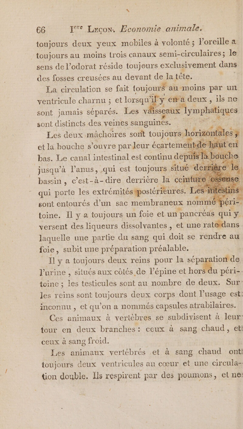 LS 66 17° Leçon. Economie animale. toujours deux yeux mobiles à volonté ; Voreille a ‘toujours au moins {rois canaux semi-circulaires; le sens de l’odorat réside toujours exclusivement dans des fosses creusées au devant de la. tête. | La circulation se fait toujours au moins par ui ventricule charnu ; et lorsqu'il de ca deux , ils ne sont jamais séparés. Les v issçaix te a sont distincts des veines sanguines. . :.® :. Les deux mâchoires sont toujours hor z et la bouche s’ouvre parleur écarteme bas. Le canal intestinal est continu dep jusqu’à l'anus, qui est toujours. situé de bassin, c’est-à-dire derrière la ce qui porte les extr émitésipostérieures. sont entourés d’un sac membraneux nomm | toine. Il y a toujours un foie et un ‘pancréas qui y versent des liqueurs dissolvantes , et une raté dans laquelle une partie du sang qui doit se rendre au foie , subit une préparation préalable. Il y a toujours deux reins pour la sépa tion de. l'urine , situés aux côtés de lépine et Mn péri: toine ; les testicules sont au nombre de deux. Sur: les reins sont toujours deux corps dont l’usage est} inconnu , et qu’on a nommés capsules atrabilaires. Ces animaux à vertèbres se subdivisent à leur: jour en deux branches: ceux à sang chaud, etl ceux à sang froid. Les animaux vertébrés ;et à sang chaud ontt toujours deux ventricules au cœur et une circula-- tion double. Ils respirent par des poumons, el ne: /