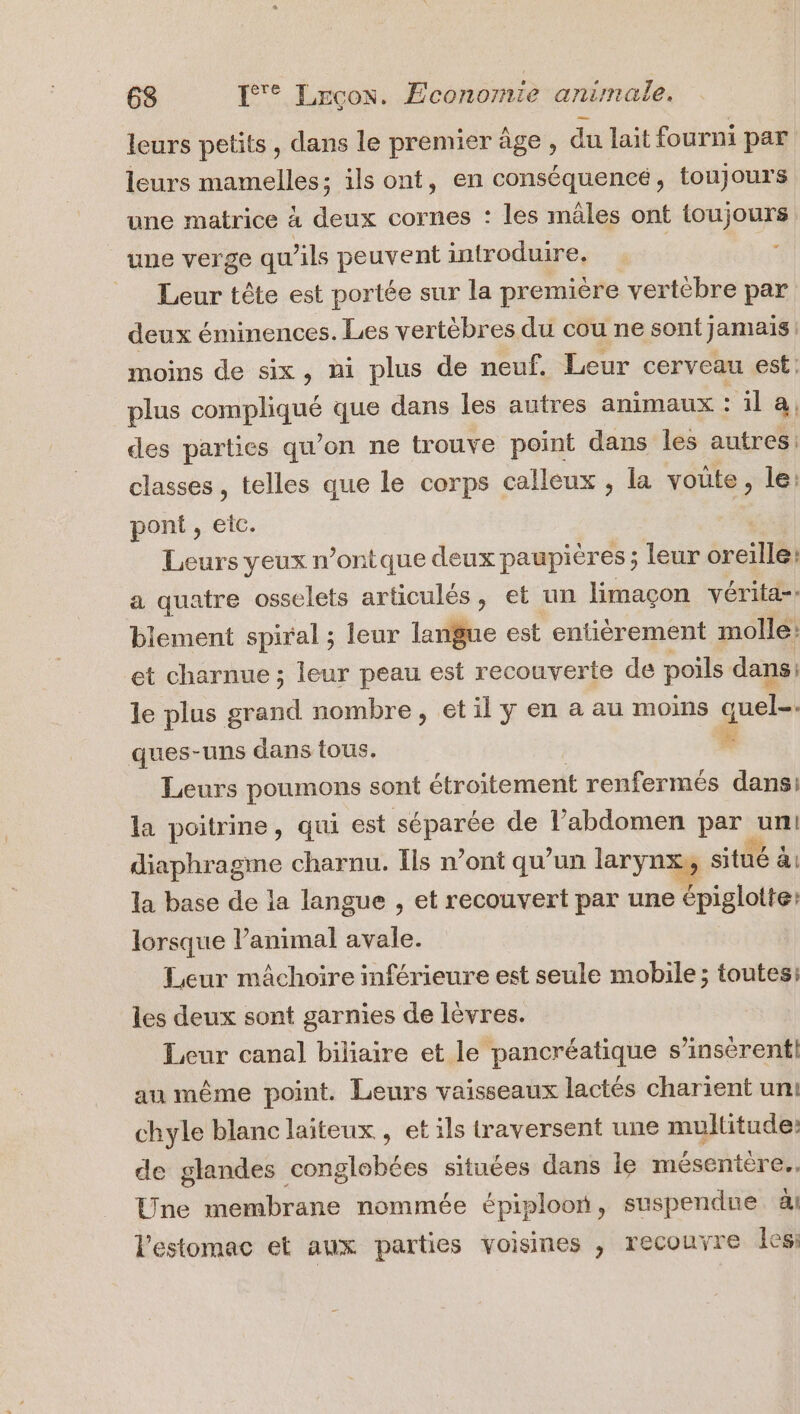 leurs petits, dans le premier âge , du lait fourni par leurs MamelRss ils ont, en conséquencé, toujours une matrice à deux cornes : les mâles ont toujours une verge qu ils peuvent introduire. | 3 Leur tête est portée sur la première vertébre par deux éminences. Les vertèbres du cou ne sont jamais | moins de six, ni plus de neuf. Leur cerveau est; plus PARA que dans les autres animaux : il à, des parties qu'on ne trouve point dans les autres: classes, telles que le corps calleux , la voute, le: pont , eic. fe Leurs yeux n’ontque deux paupières; leur éxeilläl a quatre osselets articulés, et un limaçon vérita-. blement spiral ; leur langue est entièrement molle: et charnue ; leur peau est recouverte de poils dans: le plus grand nombre, et il ÿ en a au moins quel ques-uns dans tous. F Leurs poumons sont étroitement renfermés dans: la poitrine, qui est séparée de l'abdomen par uni diaphragme charnu. Ils n’ont qu'un larynx, situé à la base de la langue , et recouvert par une épiglotte: lorsque l’animal avale. Leur mâchoire inférieure est seule mobile; toutes: les deux sont garnies de lèvres. Leur canal biliaire et le pancréatique s’insérent! au même point. Leurs vaisseaux lactés charient un! chyle blanc laiteux , et ils traversent une multitude: de glandes conglebées situées dans le mésentère.. Une membrane nommée épiploon, suspendue ài l'estomac et aux parties voisines , recouvre Îcs