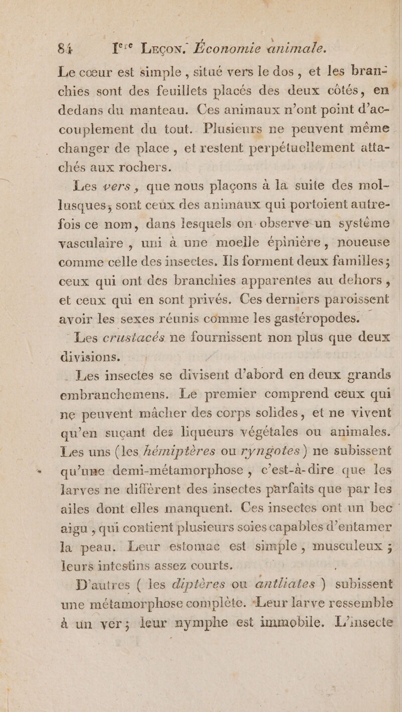 Le cœur est simple , situé vers le dos, et les bran- chies sont des feuillets placés des deux côtés, en dedans du manteau. Ces animaux n’ont point d’ac- couplement du tout. Plusieurs ne peuvent même. changer de place , et restent perpétuellement atta- chés aux rochers. Les vers, que nous plaçons à la suite des mol- lusques; sont ceux des animaux qui portoient autre- fois ce nom, dans lesquels on observe un systéme vasculaire , uni à une moelle épinière, noueuse comme celle des insectes, Ils forment deux familles; ceux qui ont des branchies apparentes au dehors, et ceux qui en sont privés. Ces derniers paroissent avoir les sexes réunis comme les gastéropodes. ‘Les crustacés ne fournissent non plus que deux divisions. : ; _ Les insectes se ide d’abord en deux grands dosettes: Le premier comprend ceux qui ne peuvent mâcher des corps solides, et ne vivent qu'en suçant des liqueurs végétales ou animales. Les uns (les Aémniptères ou ryngotes) ne subissent qu’une demi-métamorphose , c’est-à-dire que les larves ne diffèrent des insectes parfaits que par les ailes dont elles manquent. Ces insectes ont un bec aigu , qui contient plusieurs soies capables d’entamer la peau. Leur estomac est simple, musculeux ; leurs intestins assez courts. D'autres ( les diptères ou antliates ) sibist une métamorphose complète. “Leur larve ressemble à un ver; leur nymphe est immobile. L’insecte