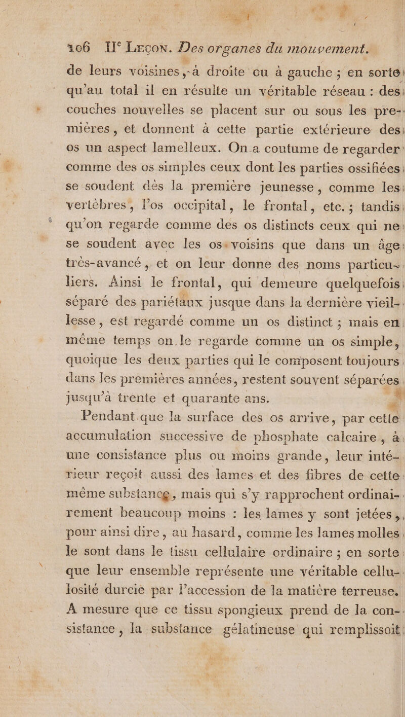 Hd. | Le MN | \ é ape “Ag ? f 306 Il Look, Des organes du mouvement. de leurs isréss a droite cu à gauche ; en sorte qu'au total il en résulte un véritable réseau : des: couches nouvelles se placent sur ou sous les pre-. micres, et donnent à cette partie extérieure des; os un aspect lamelleux. On a coutume de regarder: comme des os simples ceux dont les parties ossifiées: se soudent dès la première jeunesse, comme les: vertèbres, l'os occipital, le frontal, etc. ; tandis: qu'on regarde comme des os distincts ceux qui ne: se soudent avec les osevoisins que dans un âge: trés-avancé , et on leur donne des noms particu- liers. Ainsi le frontal, qui demeure quelquefois: séparé des pariétäux jusque dans la dernicre vieil-. même temps on.le regarde comme un os simple, quoique les deux parties qui le composent toujours. dans les premières années, restent souvent séparées jusqu’à trente et quarante a | Pendant que la surface rs os arrive, par cetle accumulation successive de phosphate calcaire, à: une consistance plus où moins grande, leur inté- rieur reçoit aussi des lames et des fibres de cette: même substancg, mais qui s’y rapprochent ordinai-. rement beaucoup moins : les lames y sont jetées,, pour ainsi dire , au hasard, comme les lames molles. le sont dans le tissu cellulaire ordinaire ; en sorte. que leur ensemble représente une véritable cellu-. losité durcie par l'accession de la matière terreuse. A mesure que ce tissu spongieux prend de la con-. sistance , la substance gélatineuse qui remplissoit Met ñ 2 €