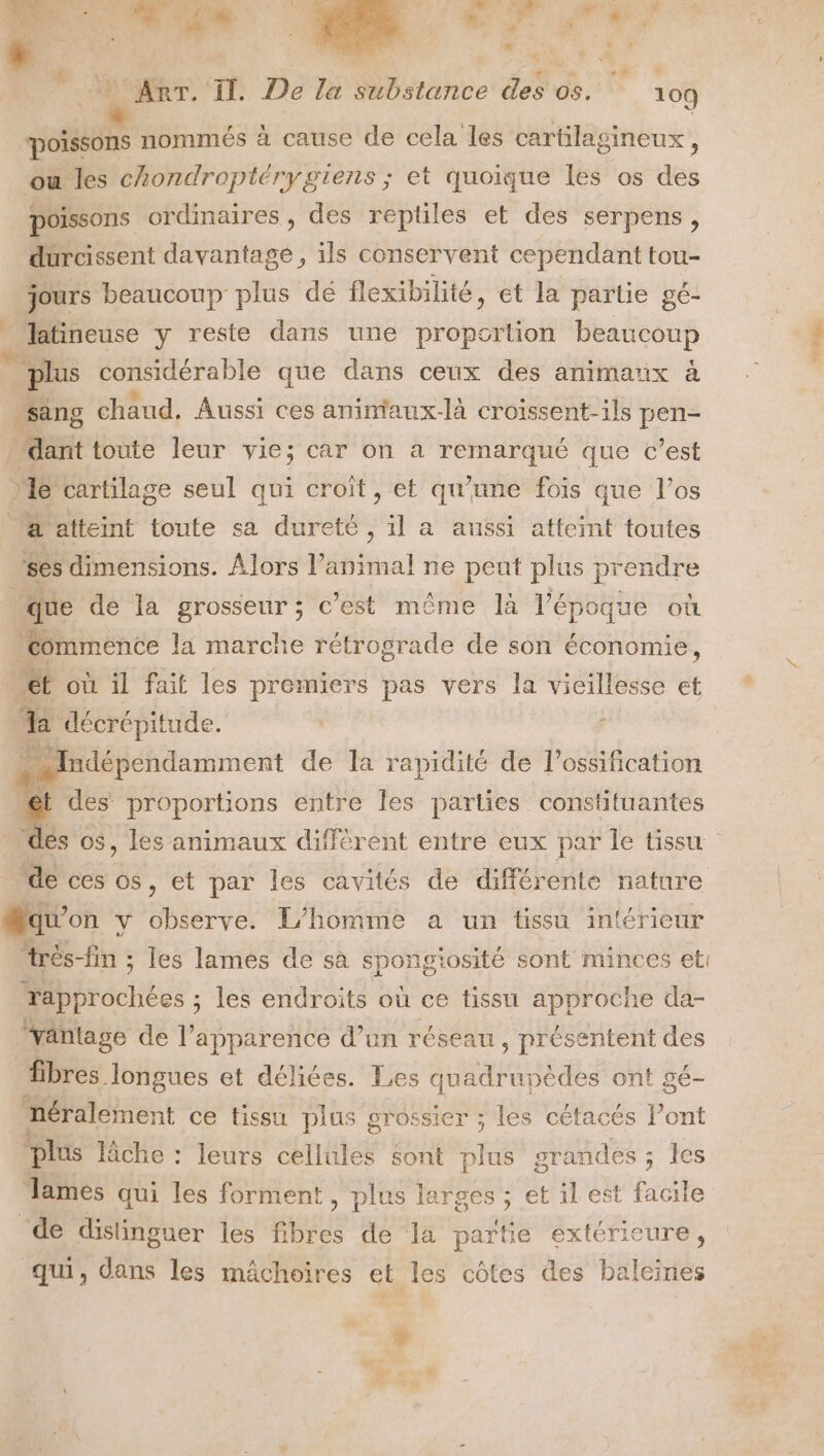 bs. Arr. Il. De la substance des os. 109 sie nommés à cause de cela les cartilagineux, où les chondroptérygiens ; et quoique les os des poissons ordinaires, des reptiles et des serpens, durcissent davantage, ils conservent cependant tou- jours beaucoup plus dé flexibilité, et la partie gé- . latineuse y reste dans une propcrtion Dr plus considérable que dans ceux des animaux à sang chaud. Aussi ces animiaux-là croissent-ils pen- dant toute leur vie; car on a du que c’est le cartilage seul qui croit, et qu'une fois que l’os À atteint toute sa dureté , il à aussi atteint toutes Ses dimensions. Alors l’animal ne peut plus prendre que de la grosseur ; c’est même la l’époque OL Commence la marche rétrograde de son économie, et où il fait les premiers pas vers la vicillesse et a décrépitude. ; KUAA: ndépendamment de la rapidité de l’ossification des’ proportions entre les parties constituantes dés os, les animaux différent entre eux par le tissu de ces os, et par les cavités de différente nature “qu on y observe. L'homme a un tissu intérieur très-fin ; les lames de sa Fe igiosité sont minces et Tapprochées; ; les endroits où ce tissu approche da- aäntage de l apparence d’un réseau, présentent des fibres. longues et délices. Les quadrunèdes ont gé- néralement ce tissu plus grossier ; les cétacés Pont plus che : leurs cellules sont plus grandes ; les lames qui les forment , plus larges ; et il est facile ‘de distinguer les fibres de la partie extérieure, qui, dans les mâchoires et les côtes des baleines w es.