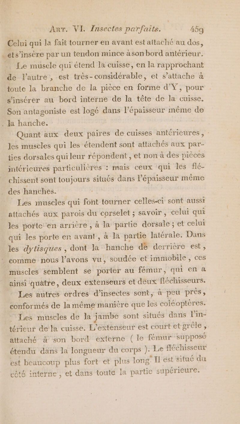 Celui qui la fait tourner en avant est altaché au dos, . ets’insère par un tendon mince àson bord antérieur. …. £e muscle qui étend la cuisse, en la rapprochant de l’autre , est très- considérable, et s’attache à toute la branche de la pièce en forme d’Y, pour s’insérer au bord interne de la tête de la cuisse. Son antagoniste est logé dans l’épaisseur même de . la hanche. | Quant aux deux paires de cuisses antérieures, : les muscles qui les étendent sont attachés aux par- ties dorsales qui leur répondent , et non à des pièces intérieures particulières : mais ceux ‘qui les flé- chissent sont toujours situés dans l’épaisseur même des hanches. Les muscles qui font tourner celles-ci sont aussi attachés aux parois du corselet ; savoir, celui qui les portei'en arrière , à la partie dorsale ; et celui qui les porte en avant, à la a latérale. Dans les dytisques, dont la hanche de derrière est, comme nous Pavons vu, soudée et immobile, ces muscles semblent se porter au fémur, qui en a ainsi quâtre, deux extenseurs et déux fléchisseurs. Les autres ordres d'insectes sont, à peu près, conformés de lamême manière que Les coléoptères. Les muscles de la jambe sont situés dans l’in- térieur de la cuisse. L’extenseur est court et grêle , attaché # son bord externe (le fémur- supposé étendu dans la longueur du corps ). Le fléchisseur est beaucoup plus fort et plus long. Il est situé du 6t6 interne , et dans toute la partie 8 upérieure.