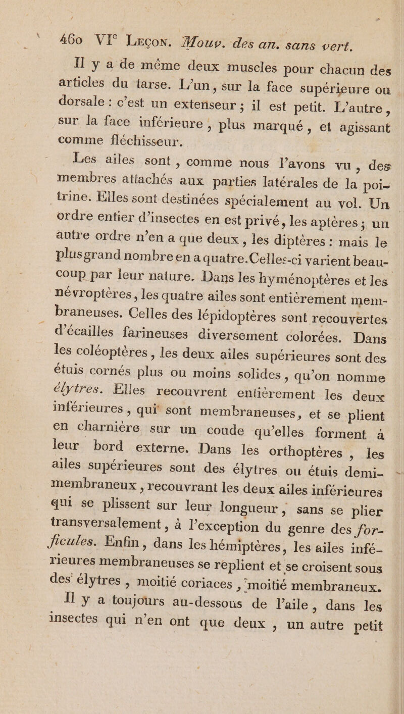 / 460 VI Lecon. Mous. des an. sans vert. Il y a de même deux muscles pour chacun des articles du tarse. L'un, sur la face supérieure où dorsale : c’est un extenseur ; il est petit. L'autre, sur la face inférieure ; plus marqué , et agissant comme fléchisseur. Les ailes sont , comme nous l'avons vu , des membres attachés aux parties latérales de la poi= trine. Elles sont destinées spécialement au vol. Un ordre entier d’insectes en est privé, les aptères ; un autre ordre n’en a que deux, les diptères : mais le plus grand nombre en a quatre.Celles-ci varient beau- Coup par leur nature. Dans les hyménoptères et les névropières, les quatre ailes sont entièrement me- braneuses. Celles des lépidoptères sont recouvertes d’écailles farineuses diversement colorées. Dans les coléoptères , les deux ailes supérieures sont des étuis cornés plus ou moins solides &gt; qu’on nomme élytres. Elles recouvrent entièrement les deux inférieures , qui sont membraneuses » €t se plient en charnière sur un coude qu'elles forment à leur bord externe. Dans les orthoptères , les ailes supérieures sont des élytres ou étuis demi- membraneux , recouvrant les deux ailes inférieures qui se plissent sur leur longueur, sans se plier transversalement , à l'exception du genre des for- Jicules. Enfin, dans les hémiptères, les ailes infé- rieures membraneuses se replient et se croisent sous des élytres , moitié coriaces , moitié membraneux. Il y a toujours au-dessous de l'aile , dans les insectes qui n’en ont que deux , un autre petit