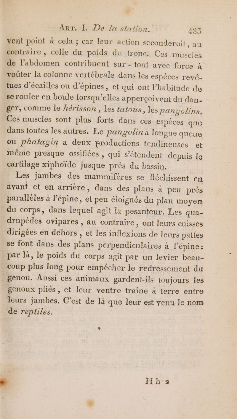 à ART. 1 De la station. Q® OL) vent point à cela ; car leur action seconderoit ) AU contraire , celle du poids du tronc: Ces muscles de l’abdomen contribuent sur - tout avec force à voûter la colonne vertébrale dans les espèces revé- tues d’écailles ou d’épines, et qui ont l'habitude de se rouler en boule lorsqu'elles apperçoivent du dan- ger, comme le hérisson, les tatous, les pangolins, Ces muscles sont plus forts dans ces espèces que dans toutes les autres. Le pangolin à longue queue ou phatagin a deux productions tendineuses et même presque ossifites , qui s'étendent denuis le cartilage xiphoïde jusque près du bassin. Les jambes des mammifères se fléchissent en avant et en arrière, dans des plans à peu près parallèles à l’épine, et peu éloignés du plan moyen. du corps, dans lequel agit la pesanteur. Les qua- drupédes ovipares , au contraire, ont leurs cuisses dirigées en dehors , et les inflexions de leurs pattes se font dans des plans perpendiculaires à l’épine : par là, le poids du corps agit par un levier beau- coup plus long pour empêcher le redressement du genou. Aussi ces animaux gardent-ils toujours Îles genoux pliés, et leur ventre traîne 4 terre entre leurs jambes. C’est de là que leur est venu le nom de reptiles,