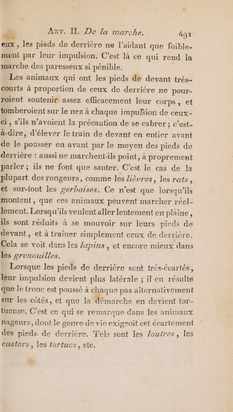 eux , les pieds de derrière ne l’aidant que foible- ment par leur impulsion. C’est là ce qui rend la marche des paresseux si pénible, Les animaux qui ont les pieds de devant trés- courts à proportion de ceux de derrière ne pour- roient soutenir assez efficacement leur corps, et tomberoient sur le nez à chaque impulsion de ceux- ci, S'ils n’avoient la précaution de se cabrer ; c’est- a-dire, d'élever le train de devant en entier avant de le pousser en avant par le moyen des pieds de derrière : aussi ne marchenrt-ils point, à proprement parler ; ils ne font que sauter. C’est le cas de la plupart des rongeurs, comme les livres, les rats : et sur-tout les gerboises, Ce n'est que lorsqu'ils montent, que ces animaux peuvent marcher réel- lement. Lorsqu'ils veulent aller lentement en plaine, ils sont réduits à se mouvoir sur leurs pieds de devant, et à traîner simplement ceux de derrièr Cela se voit dans les pins, et encore mieux Aa les grenouilles. | Lorsque les pieds de derrière sont très-écartés, leur impulsion devient plus latérale ; il en résulte que le tronc est poussé à chaque pas alternativement sur les côtés, et que la démarche en devient tor- tueuse. C’est ce qui se remarque dans les animaux nageurs, dont le genre de vie exigeoit cet écartement des pieds. de derrière. T'els sont les Zoutres, les castors , les tortues, etc.