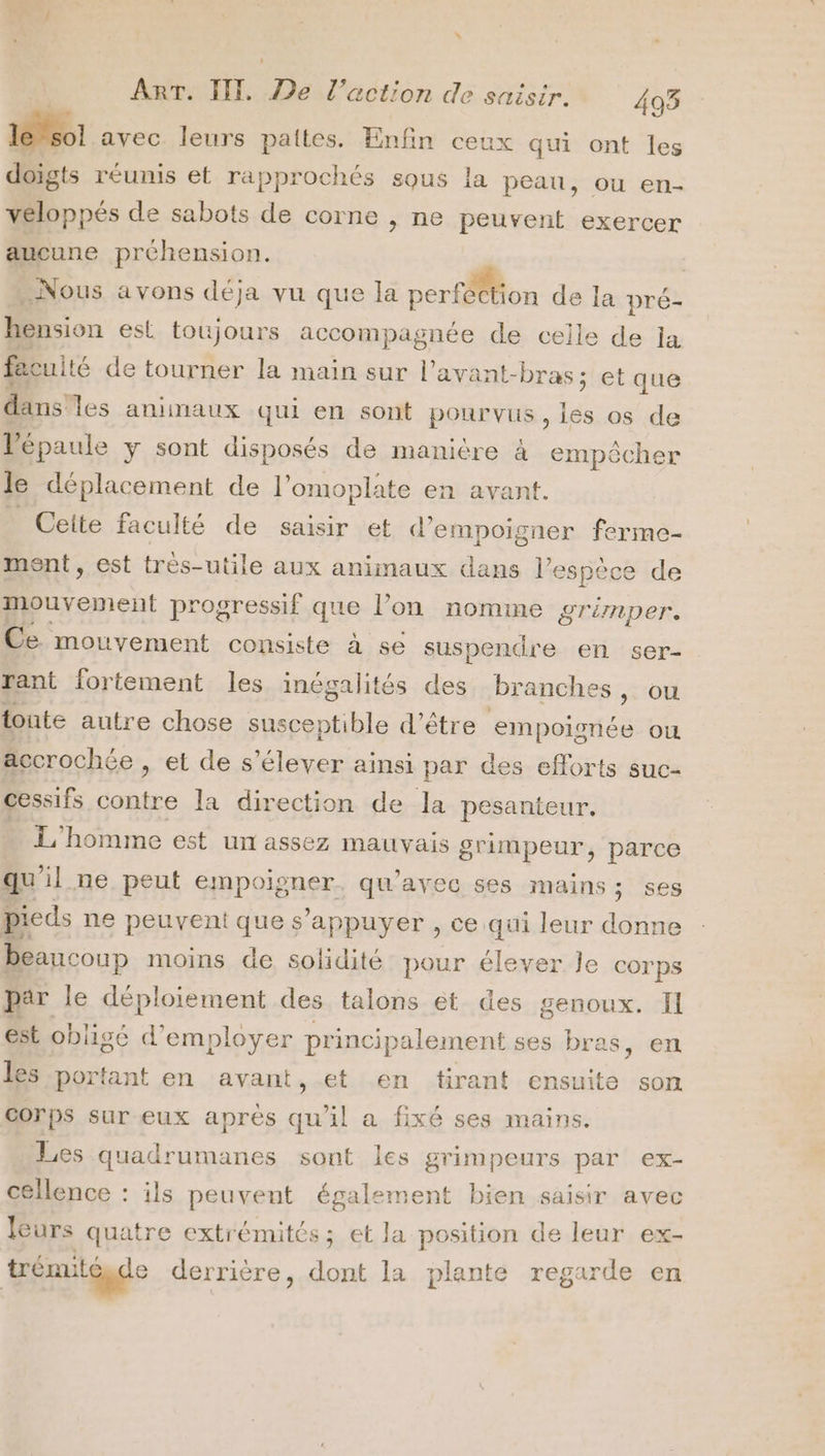 1 avec leurs paites. Enfin ceux qui ont les doigts réunis et rapprochés sous la peau, ou en- véloppés de sabots de corne ; ne peuvent exercer aucune préhension. | Nous avons déja vu que la perfion de la pré- hension est toujours accompagnée de celle de la faculté de tourner la main sur l’avant-bras; et que dans’ les animaux qui en sont pourvus, les os de l'épaule y sont disposés de manictre 4 empêcher le déplacement de l’omoplate en avant. _ Ceite faculté de saisir et d’empoigner ferme- ment, est très-utile aux animaux dans l'espèce de mouvement progressif que l’on nomme grémper. Ce mouvement consiste à se suspendre en ser- rant fortement les inégalités des branches, ou tonte autre chose susceptible d'être empoisnée ou accrochée , et de s'élever ainsi par des efforts suc- cessifs contre la direction de la pesanteur. L'homme est un assez mauvais grimpeur, parce qu'il ne peut empoigner. qu'avec ses mains ; ses pieds ne peuvent que s’appuyer , ce qui leur de beancoup moins de solidité pour élever Je corps par le déploiement des talons et des genoux. Il est obligé d'employer pr incipalement ses bras, en les portant en avant, et en tirant ensuite son corps sur eux après qu'il a fixé ses mains. Les quadrumanes sont les grimpeurs par ex- cellence : ils peuvent également bien saisir avec leurs quatre extrémités; et la position de leur ex- trémité, de derrière, dont la plante regarde en