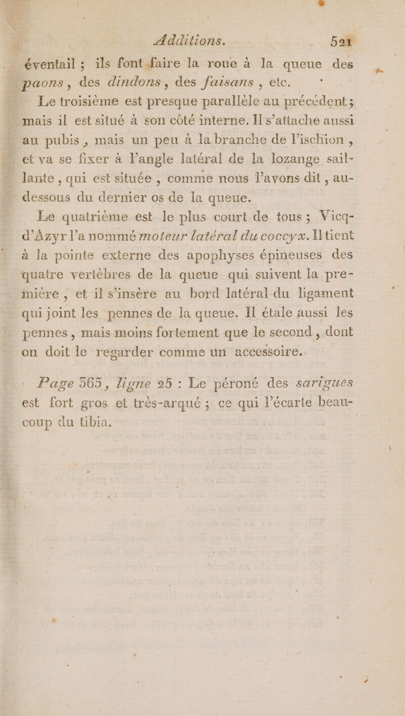 Le troisième est presque parallèle au précédent ; au pubis, mais un peu à la branche de l’ischion , dessous du dernier os de la queue. Le quatrième est le plus court de tous; Vicq- d’Azyr l’a nommé moteur latéral du coccy x. tient à la pointe externe des apophyses épineuses des quatre vertèbres de la queue. qui suivent la pre- miere , et il s’insère au bord latéral du ligament qui joint les pennes de la queue. Il étale aussi les pennes , mais moins fortement que le second, dont on doit le regarder comme un accessoire. Page 565, ligne 25 : Le péroné des sarigues coup du tibia.