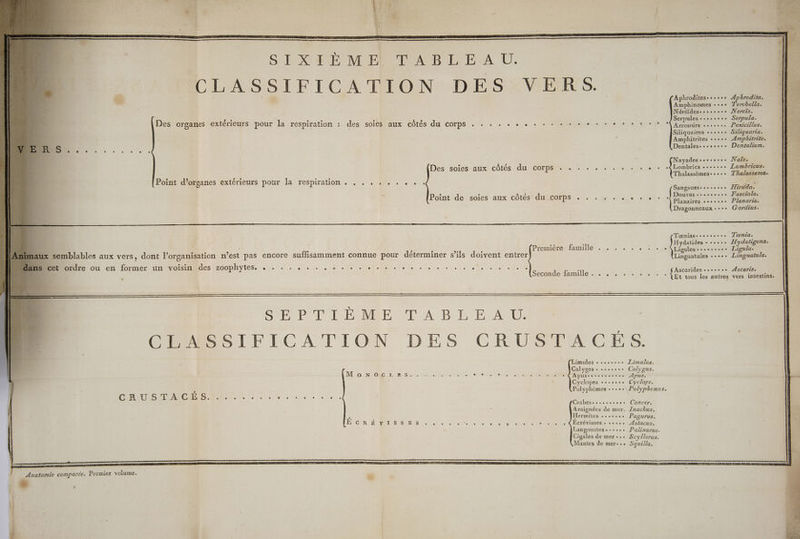 SIXIÈME TABLEAU. CLASSIFICATION DES CVS. 210 # | | | Aphroditesesssss Aphrodifa. Amphinomes ++.e T'erebella. Néréïdes-ssv.. Nereïs. .{Serpules ses... Serpula. Arrosoirs ses. Penicillus. Siliquaires ++... Siliquarta. Amphitrites ++. Amphitrite. Dentalese..vssee Dentalium. Des organes extérieurs pour la respiration : des soies aux côtés du corps . . . . . . . . +. + + ee + ee À Fi ; Nayades see es ce + Na Des soies aux côtés du corps + . . . . . . « . . . 0 fes certe Lumbricus. Point d’organes extérieurs pour la respiration . . . . . . . . . . tb TRaRre Sangsues-essesse Hirédo. Douves-.sesesses Planaires e....0s Dragonneaux «+++ Tœniaseesesere.e Fasciola. Planaria. 4% Gordius. Te Tœnia. Hydatides ss. Hydatigena. VA ; 9 Q e 9 À À e n ° Première famille C L » “ : ® CRC . | semblables aux vers, dont l’organisation n’est pas encore suffisamment connue pour déterminer s’ils doivent entrer Lie RU ra S cet ordre ou en former un voisin des zoophytes. . . . . . . . . . . . . . . . . . ... ........... D. | Coboidedoinlle 2 MSN UE: Ascarides sssseve ÆAscarise * Et tous les autres vers intestins. DU SEA PT EME XL. A BL CE. AU CLASSIFICATION DES CRUSTACES. Limules « ssec.e Zimulus. Calyges ss... Calygus. pusessssesre.s Apus. 18 Cyclopes ++.+r°+ Cyclops. ) Polyphèmes ++... Pol/yphemus. MEURT EU 1e MINIER SSSR Mio vob rss - L2 2 æ - - » e à , L2 - - L2 - - e » Crabessesssesses Cancer. nt de mer. Znachus. Û | ermites +..es. Paourus. E CR :É7 MINS SSRUS Je den v e Aloe f US eR RRTE “I Écrévisses . .….... Pr (1 , Langoustes...... Palinurus. | Cigales de mer... Scyllarus. Mantes de mer..e Squilla. pp vas nf — eieme me #40 nee ge. mem. ep gr ce pars se v= - +7 See here) e ve me + _ Fest = EME LE ES ir : ner: . RO RE ETTETTNE te he . 2 PP LL 2 ge sers PR Ir OURS pere . . £ RE ee De OR LR ED Vs A 4 EE NE UP EE EN VE UE an nd 1 Abo Se à Là LL?