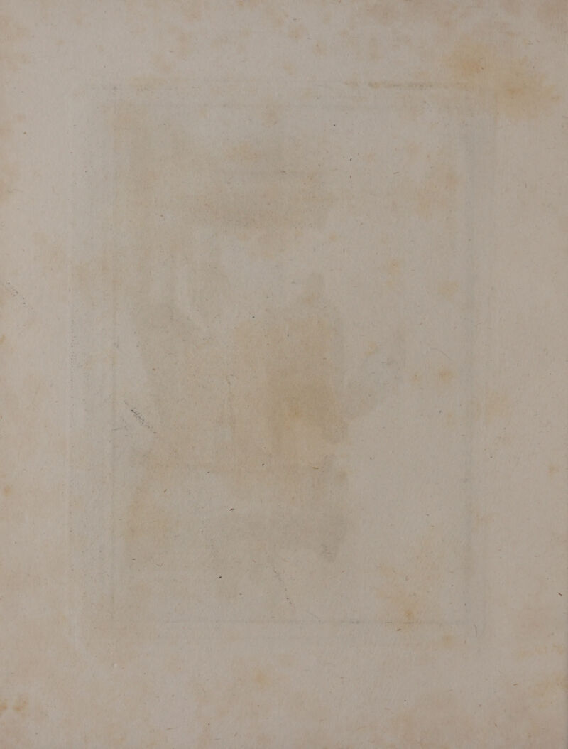 ‘ Sp fi Id ” Pa usa dà