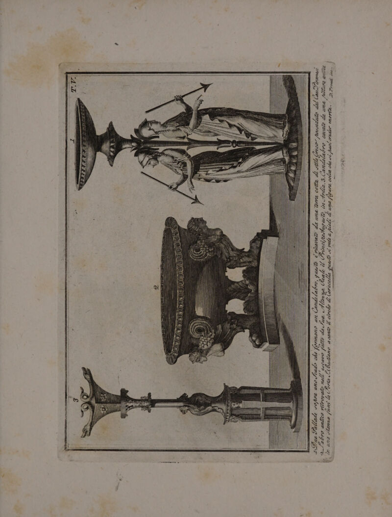 dh_/ { vez Ros TT i 3 iena Ari LIMA } LL DUI