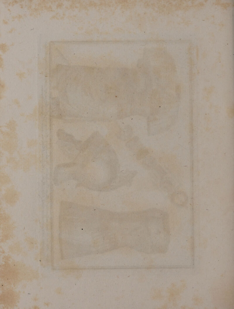 = i 1% 4 Ta diet arde KS Mt Di Ro + gi fer Pelo, Ù