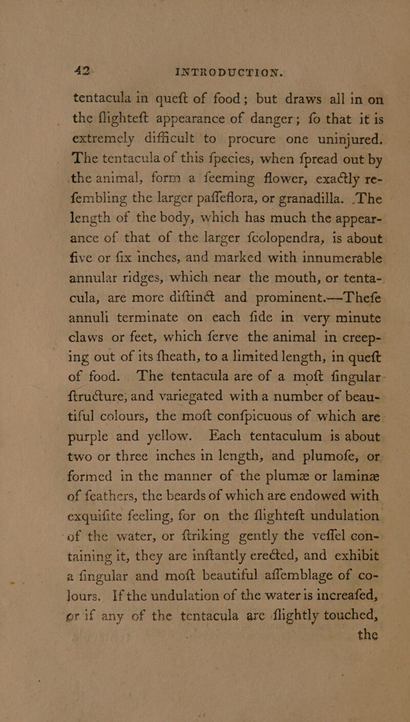 tentacula in queft of food; but draws all in on the flighteft appearance of danger; fo that it is extremely dificult to procure one uninjured. — _ The tentacula of this {pecies, when fpread out by the animal, form a feeming flower, exactly re- fembling the larger paffeflora, or granadilla. .The - length of the body, which has much the appear- ance of that of the larger fcolopendra, is about five or fix inches, and marked with innumerable annular ridges, which near the mouth, or tenta- cula, are more diftin@ and prominent.—Thefe annuli terminate on each fide in very minute _ claws or feet, which ferve the animal in creep- ing out of its fheath, to a limited length, in queft of food. The tentacula are of a moft fingular- ftructure, and variegated witha number of beau- tiful colours, the moft confpicuous of which are. purple and yellow. Each tentaculum is about two or three inches in length, and plumofe, or — formed in the manner of the plume or laminz of feathers, the beards of which are endowed with exquifite fecling, for on the flighteft undulation ‘of the water, or firiking gently the veflel con- taining it, they are inftantly erected, and exhibit a fingular and moft beautiful aflemblage of co- lours. Ifthe undulation of the water is increafed, orif any of the tentacula are flightly touched, | » the