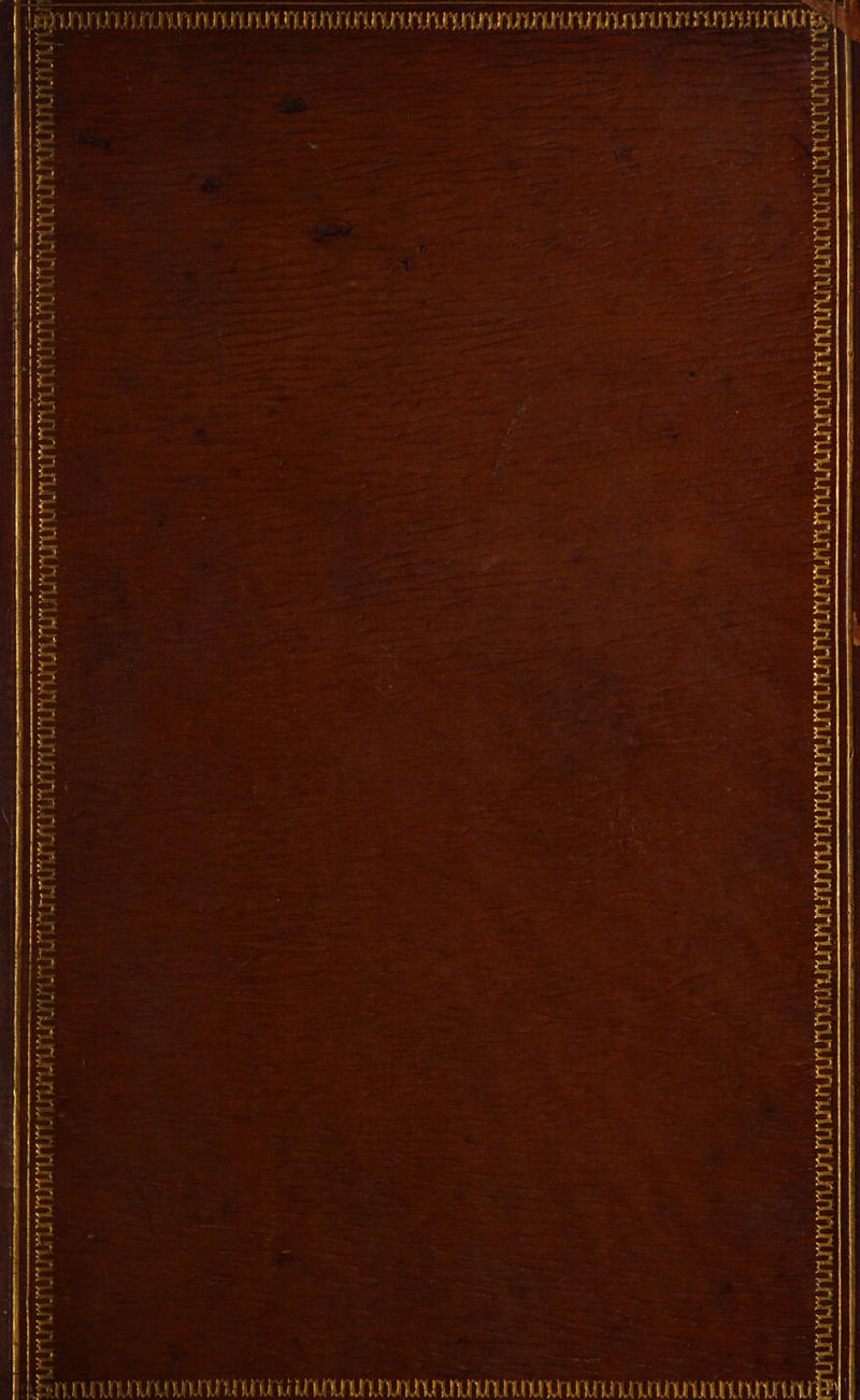SSA ROAM a. og || Fi : CUO OE ee PUES WL BCU OULU LOU ee Pie of EPEVLEEL PA PUPLELI UPS UU DB hd Bd Dod Fon Prk BA bal Bok Bed Pk Bul Fick Bed Disk Bick PA Pod Ad ab Bok Pod Poe SS bee bi hed bed b HbA FA De ball Be MOLLE bea bd LE AA I A Ns ne an pe oe 1 Keocmrat —_ _ et - — _