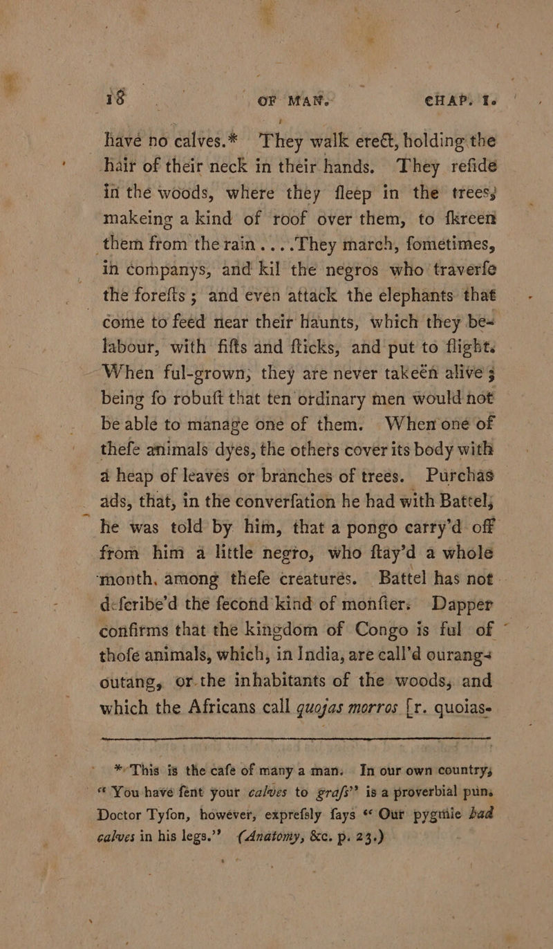 et Pe ope OF MAN. CHAP. T. have no calves.* They walk ereét, holding the in the woods, where they fleep in the trees, makeing a kind of roof over them, to fkreen in companys, and kil the negros who traverfe the forefts ; and even attack the elephants that labour, with fifts and fticks, and put to flight. When ful-grown, they are never takeén alive 3 being fo robuft that ten ordinary men would not thefe animals dyes, the othets cover its body with a heap of leaves or branches of trees. Purchas ads, that, in the converfation he had with Battel; from him a little negro, who ftay’d a whole deferibe’d the fecond kind of monfier; Dapper confirms that the kingdom of Congo is ful of thofe animals, which, in India, are call’d ourang- outang, or-the inhabitants of the woods, and which the Africans call guojas morros [r. quoiase *This is the cafe of many a man. In our own country, Doctor Tyfon, however, exprefsly fays * Our pygtiie dad calves in his legs.’”? (Anatomy, &amp;c. p. 23.) t -