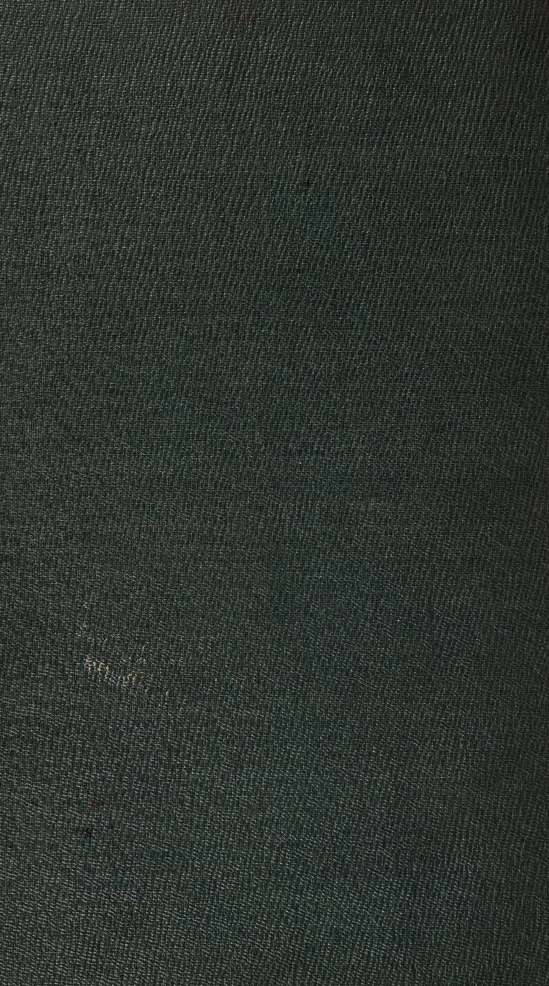 aa , eats Tye b Chesa| “he Ne. rie at ee ta