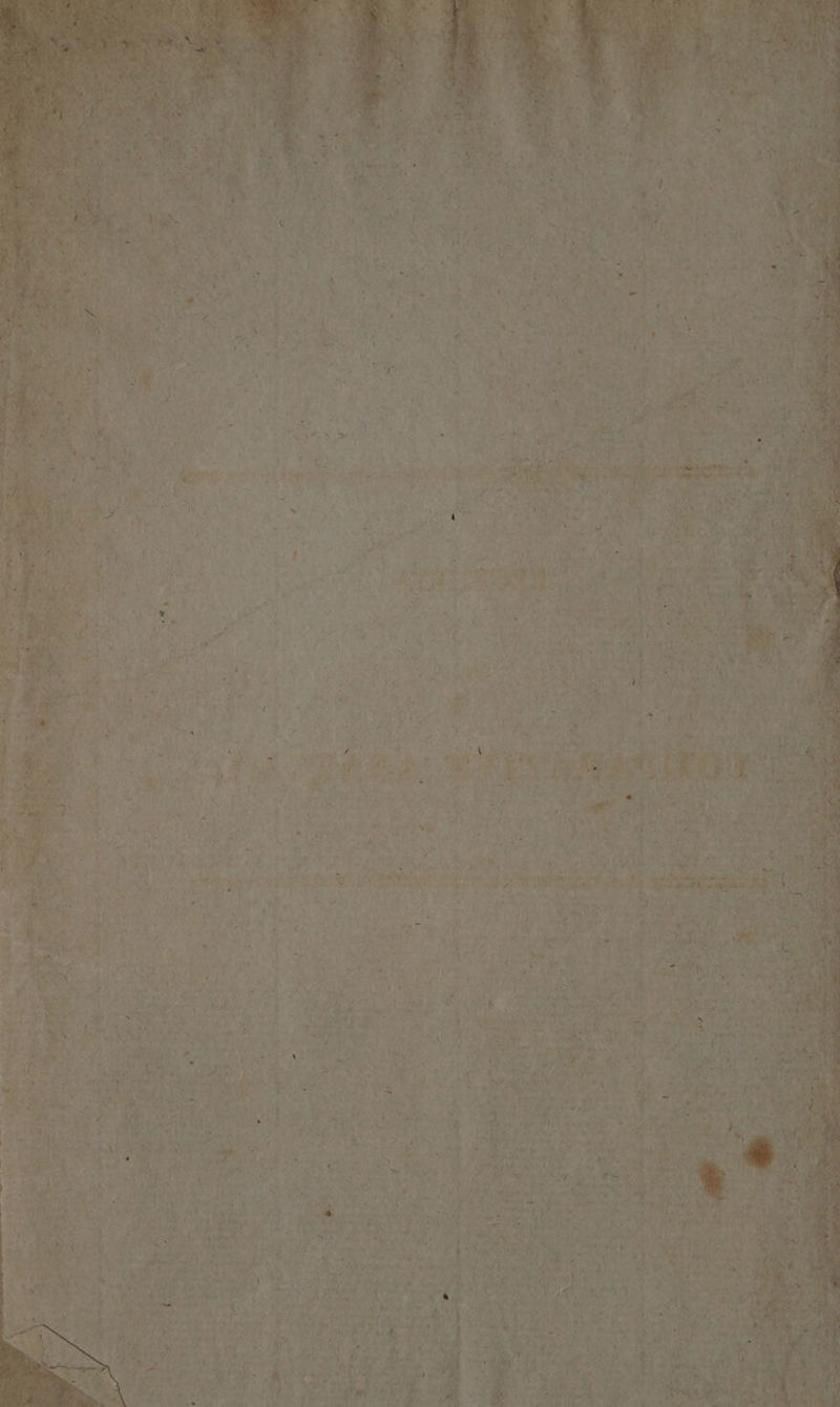 Tan 4 eee Ex: Slt FAR RAR bi Pare ay