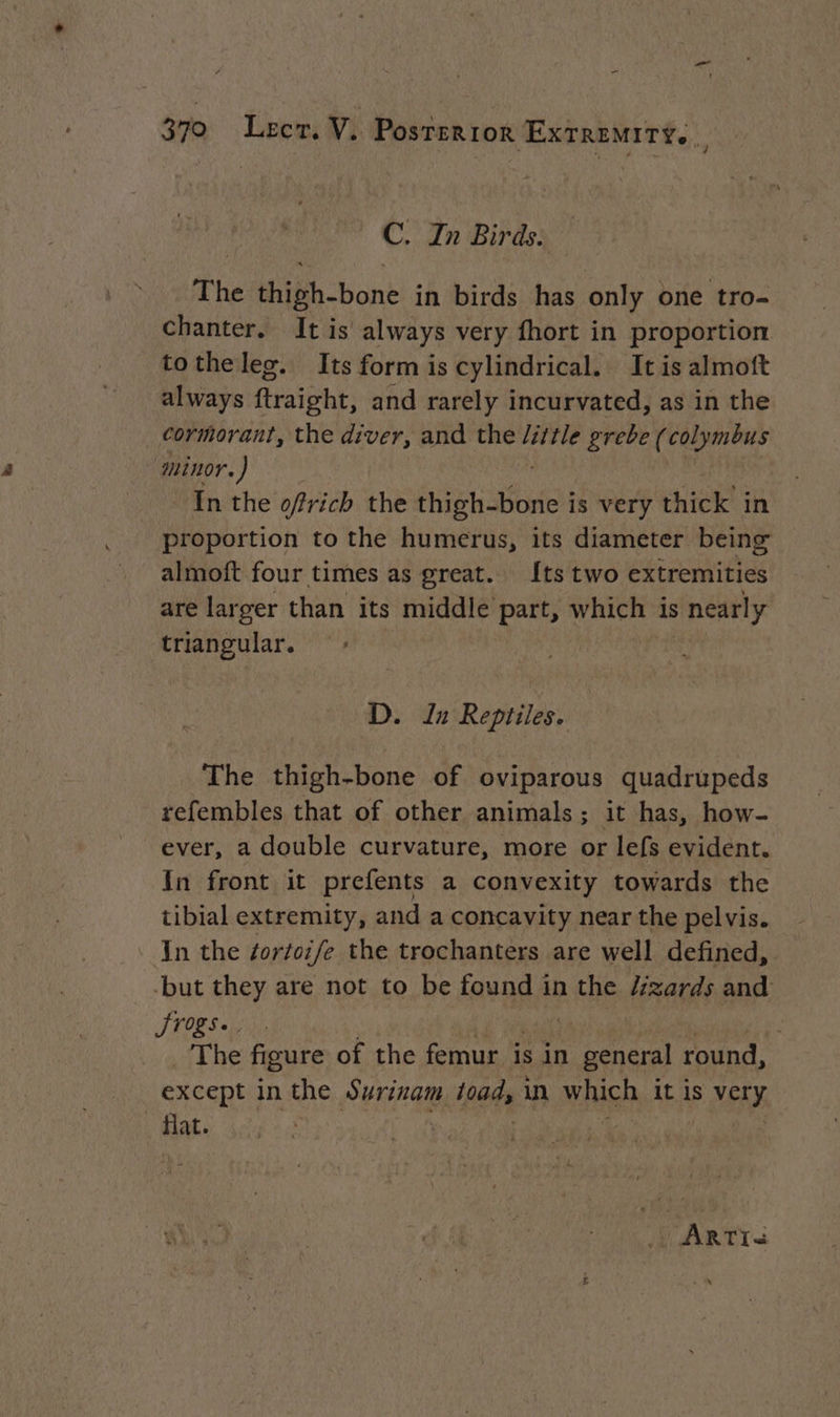 = 379 Lect. V. Posterior Extremity. C. In Birds: The thigh-bone in birds has only one tro- Chanter. It is always very fhort in proportion totheleg. Its form is cylindrical. It is almoft always ftraight, and rarely incurvated, as in the cormorant, the diver, and the little prebe (colymbus minor.) Inthe oftrich the thigh-bone is very thick in proportion to the humerus, its diameter being almoft four times as great. Its two extremities are larger than its middle part, which is nearly triangular. + D. In Reptiles. The thigh-bone of oviparous quadrupeds refembles that of other animals ; it has, how- ever, a double curvature, more or lefs evident. In front it prefents a convexity towards the tibial extremity, and a concavity near the pelvis. In the ¢ortoz/e the trochanters are well defined, but they are not to be found in the Zzards and JTogs.. The figure of the femur is in general round, except in the Ha bus in which it is YEN flat. ARTI«<