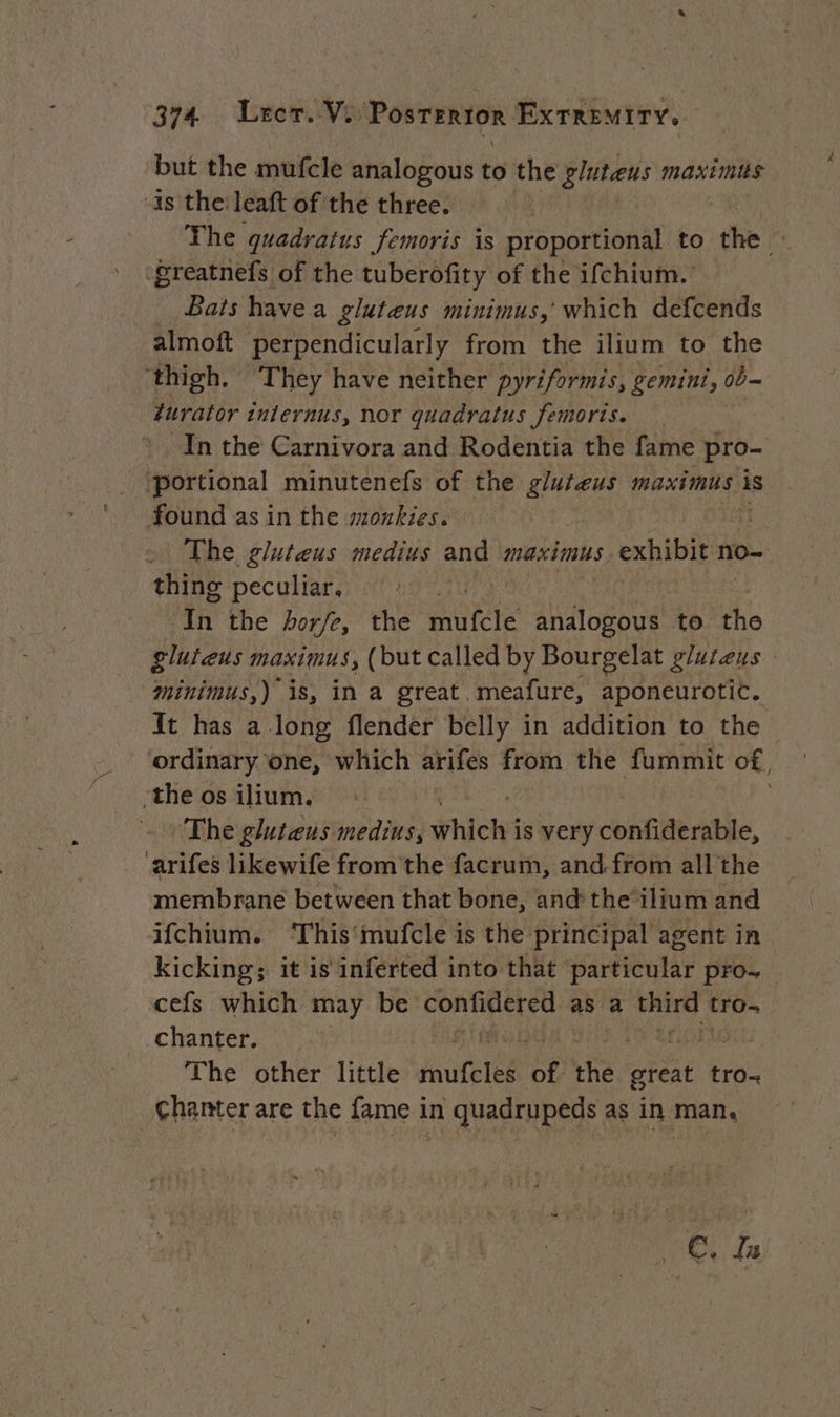 but the mufcle analogous to the glutaus Maximus as the leaft of the three. The quadratus femoris is proportional to ie greatnefs of the tuberofity of the ifchium. — Bats havea gluteus minimus,’ which defcends almoft perpendicularly from the ilium to the ‘thigh. They have neither pyriformis, gemini, ob furator tnlernus, nor quadratus femoris. In the Carnivora and Rodentia the fame pro- portional minutenefs of the gluteus maximus is found as in the mozkies. The gluteus medius and | maximus. exhibit no- thing peculiar, | in the horfe, the mufcle AO to vi gluteus maximus, ( but called by Bourgelat gluteus | minimus,) is, in a great meafure, aponeurotic. It has a long flender belly in addition to the ordinary one, which arifes from the fummit of, the os ilium. : The gluteus medius, nice is very confiderable, arifes likewife from the facrum, and.from all the membrane between that bone, and the ilium and ifchium. ‘This‘mufcle is the principal agent in kicking; it is inferted into that particular pro. cefs which may be CORÉEN as a third | tro. chanter. voltaic aah The other little nue és of the sates tro- Chanter are the fame in quadrupeds as in man,
