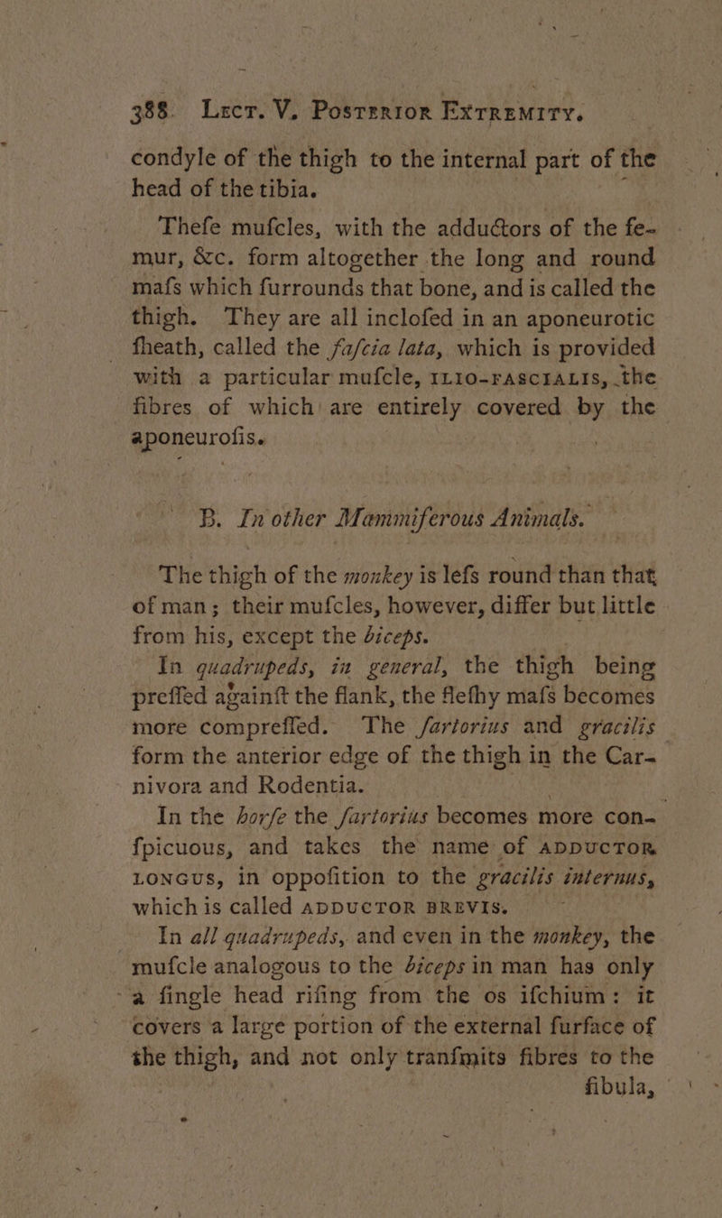condyle of the thigh to the internal part of the head of the tibia. Thefe mufcles, with the addudtors of the fe mur, &amp;c. form altogether the long and round mafs which furrounds that bone, and is called the thigh. They are all inclofed in an aponeurotic fheath, called the /a/cia lata, which is provided with a particular mufcle, 1110-FrascrALtIs, the fibres of which’ are entirely covered by the aponeurofis. | B. In other Mammiferous Animals. The thigh of the monkey is lefs round than that of man; their mufcles, however, differ but little from his, except the diceps. | In quadrupeds, in general, the thigh being preffed againft the flank, the fefhy rials becomes more comprefled. The /ariorius and gracilis form the anterior edge of the thigh in the Car- nivora and Rodentia. : | In the horfe the /urtorius becomes more con- fpicuous, and takes the name of appucTor LONGUS, in oppofition to the gracilis internus, which is called apDUCTOR BREVIS. In all guadrupeds, and even in the monkey, the | mufcle analogous to the biceps i in man has only a fingle ficad rifing from the os ifchium: it covers a large portion of the external furface of the thigh, and not only tranfmits fibres to the sie |