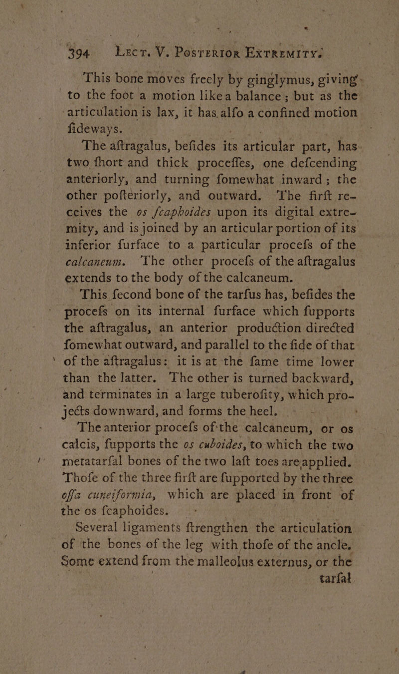 LA f This bone moves freely by ginglymus, giving: to the foot a motion likea balance; but as the fideways. The aftragalus, befides its brticular part, has two fhort and thick proceffes, one defcending anteriorly, and turning fomewhat inward; the other pofteriorly, and outward. The firft re- > mity, and is joined by an articular portion of its inferior furface to a particular procefs of the calcaneum. ‘The other procefs of the aftragalus — extends to the body ofthe calcaneum. This fecond bone of the tarfus has, befides the procefs on its internal furface which fupports the aftragalus, an anterior production directed fomewhat outward, and parallel to the fide of that of the aftragalus: it is at the fame time lower than the latter. The other is turned backward, and terminates in a large tuberofity, which pro- jects downward, and fecha the heel. 47s | The anterior procefs ofthe calcaneum, or os calcis, fupports the os cuboides, to which the two metatarfal bones of the two laft toes areapplied. Thofe of the three firft are fupported by the three offa cuneiformia, which are placed in front of the os {caphoides. Several ligaments ftrengthen the eitioulariae of the bones of the leg with thofe of the ancle, Some extend from the malleolus externus, or the tarfai