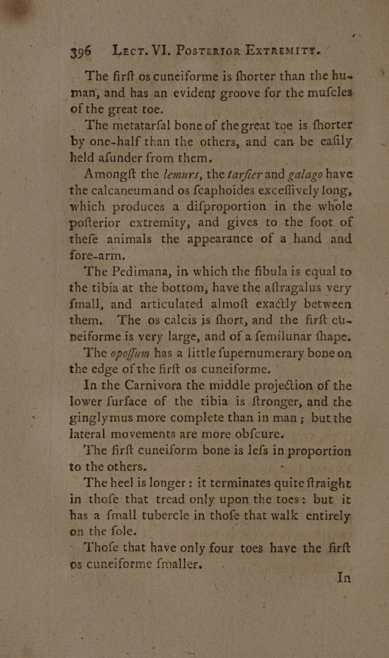 The firft os cuneiforme is fhorter than the hu. man, and has an evident groove for the mufcles ofthe great toe. The metatarfal bone of the great toe is fhorter by one-half than the others, and can be eafily held afunder from them. | Amongft the lemurs, the tarfier and De ‘sa the calcaneumand os fcaphoides exceflively long, which produces a difproportion in the whole pofterior extremity, and gives to the foot of thefe animals the appearance of a hand and fore-arm. The Pedimana, in which the fibula is catia ie to the tibia at the bottom, have the aftragalus very fmall, and articulated almoft te between them. ‘The os calcis is fhort, and the firft cu neiforme is very large, and of a femilunar fhape, — The opoffum has a little fupernumerary bone on the edge of the firft os cuneiforme. © In the Carnivora the middle projection of the lower furface of the tibia is ftronger, and the ginglymus more complete than in man; but the lateral movements are more obfcure. | The firft cuneiform bone is lefs in Sa acini to the others. The heel is longer : it terminates quite Reais | in thofe that tread only upon the toes: but it has a {mall tubercle in thofe that walk entirely on the fole. ~ Thofe that have only cae toes have the firft os cuneiforme {maller.