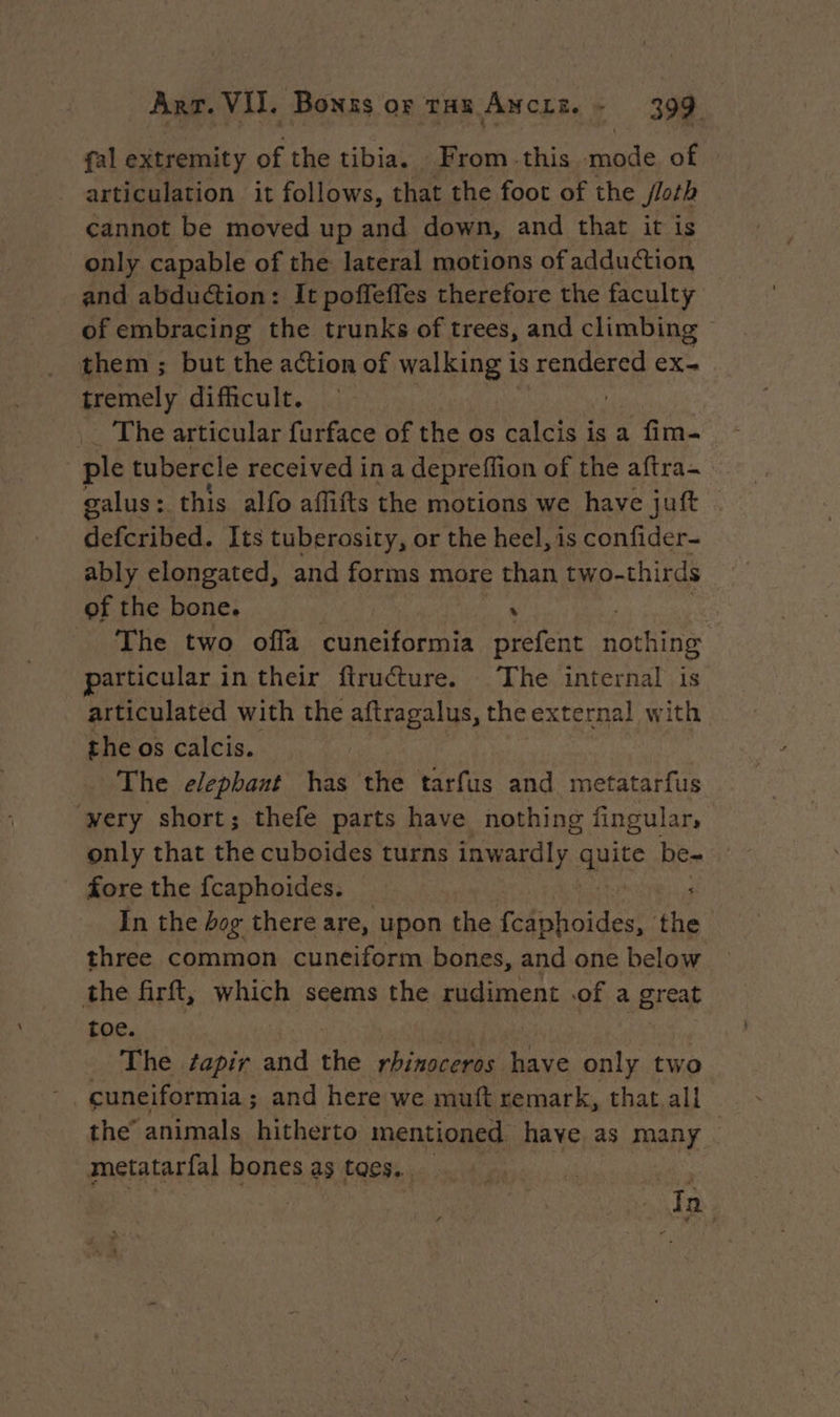 fal extremity of the tibia. From this mode of © articulation it follows, that the foot of the /loth cannot be moved up and down, and that it is only capable of the lateral motions of adduction and abduction: It poffeffes therefore the faculty of embracing the trunks of trees, and climbing ~ them ; but the action of walking is rendered ex- tremely difficult. _. The articular furface of the os calcis is a fim- ple tubercle received in a depreffion of the aftra- galus : this alfo affifts the motions we have jut defcribed. Its tuberosity, or the heel, is confider- ably elongated, and forms more than two- thirds of the bone. ; | The two offa cuneiformia prefent nothing particular in their ftructure. The internal is articulated with the aftragalus, the external with the os calcis. The elephant has the tarfus and metatarfus very short; thefe parts have nothing fingular, only that the cuboides turns inwardly quite be- fore the fcaphoides. In the bog there are, upon the fcaphoides, os three common cuneiform bones, and one below the firft, which seems the rudiment .of a great toe. The fapir rand the rhinoceros have ae two cuneiformia; and here we muft remark, that all the’ animals hitherto mentioned have as many metatarfal bones as tags... Ja,