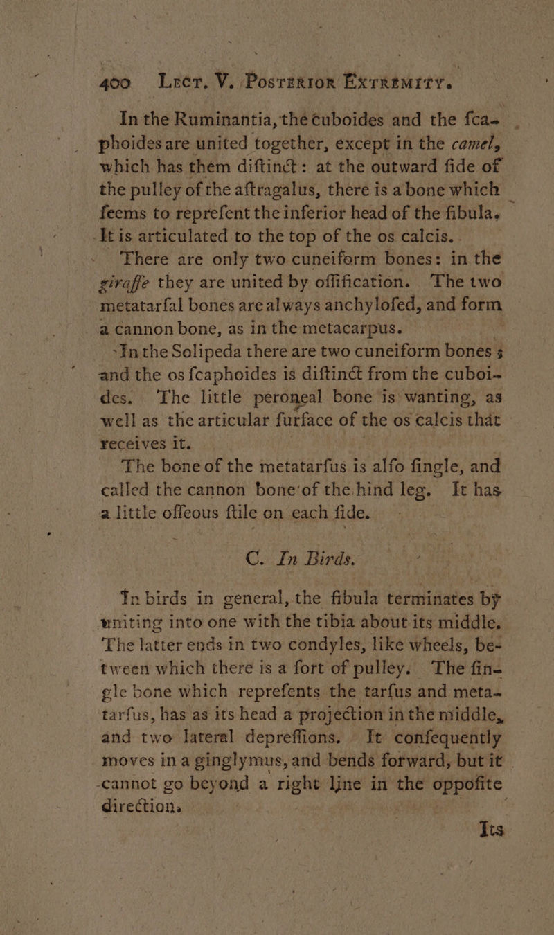 In the Ruminantia, the cuboides and the {cas phoides are united together, except in the camel, which has them diftinct : at the outward fide of the pulley of the aftragalus, there is a bone which feems to reprefent the inferior head of the fibula. -It is articulated to the top of the os calcis. . ‘There are only two cuneiform bones: in the giraffe they are united by offification. The two metatarfal bones are always anchylofed, and form a cannon bone, as in the metacarpus. | ‘In the Solipeda there are two cuneiform bones 3 and the os {caphoides is diftinét from the cuboi- des. The little peroneal bone is wanting, as well as the articular furface of the os calcis ‘that receives it. The bone of the metatarfus is alfo shuts, and called the cannon bone'of the hind leg. It has alittle offeous {tile on each fide. C. In Birds. Ÿn birds in general, the fibula terminates by wniting into one with the tibia about its middle. The latter ends in two condyles, like wheels, be- tween which there is a fort of pulley. The fin- gle bone which reprefents the tarfus and meta- tarfus, has as its head a projection in the middle, and two lateral depreffions. It confequently moves in a ginglymus, and bends forward, but it -cannot go beyond a right line in the ii cain directions | dts