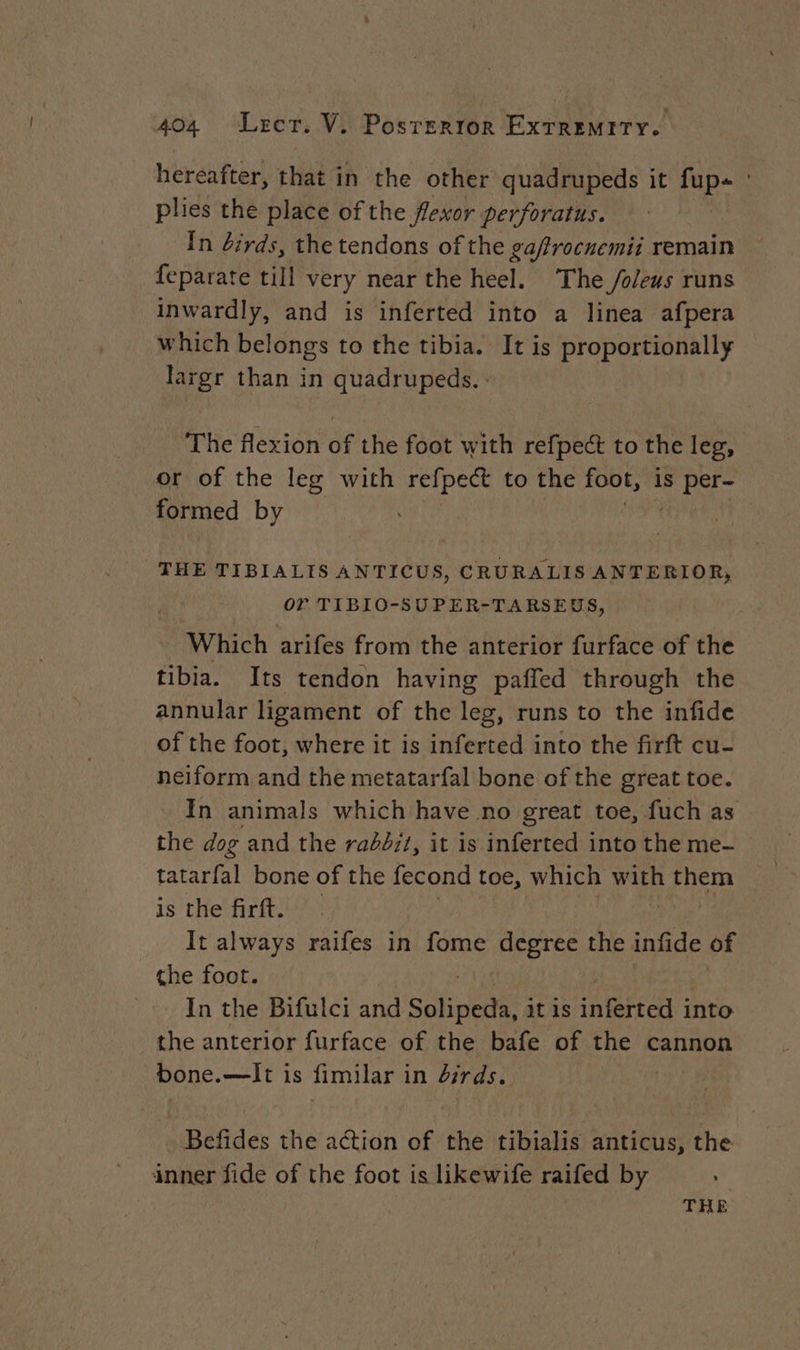 hereafter, that in the other quadrupeds it pe | plies the place of the flexor perforatus. In dirds, the tendons of the gaffrocuemii remain feparate till very near the heel. The /oleus runs inwardly, and is inferted into a linea afpera which belongs to the tibia. It is proportionally largr than in quadrupeds. - The flexion of the foot with refpect to the leg, or of the leg with refpect to the foot, is els formed by THE TIBIALIS ANTICUS, CRURALIS ANTERIOR, or TIBIO-SUPER-TARSEUS, Which arifes from the anterior furface of the tibia. Its tendon having paffed through the annular ligament of the leg, runs to the infide of the foot, where it is inferted into the firft cu- neiform and the metatarfal bone of the great toe. In animals which have no great toe, fuch as the dog and the rabbit, it is inferted into the me- tatarfal bone of the fecond toe, which with spi isthefirft. It always raifes in fome degree the infide of the foot. In the Bifulci and Salitens if 1s inferted into the anterior furface of the bafe of the cannon bone.—It is fimilar in #srds. Befides the action of the tibialis anticus, the inner fide of the foot is likewife raifed by ‘a THE