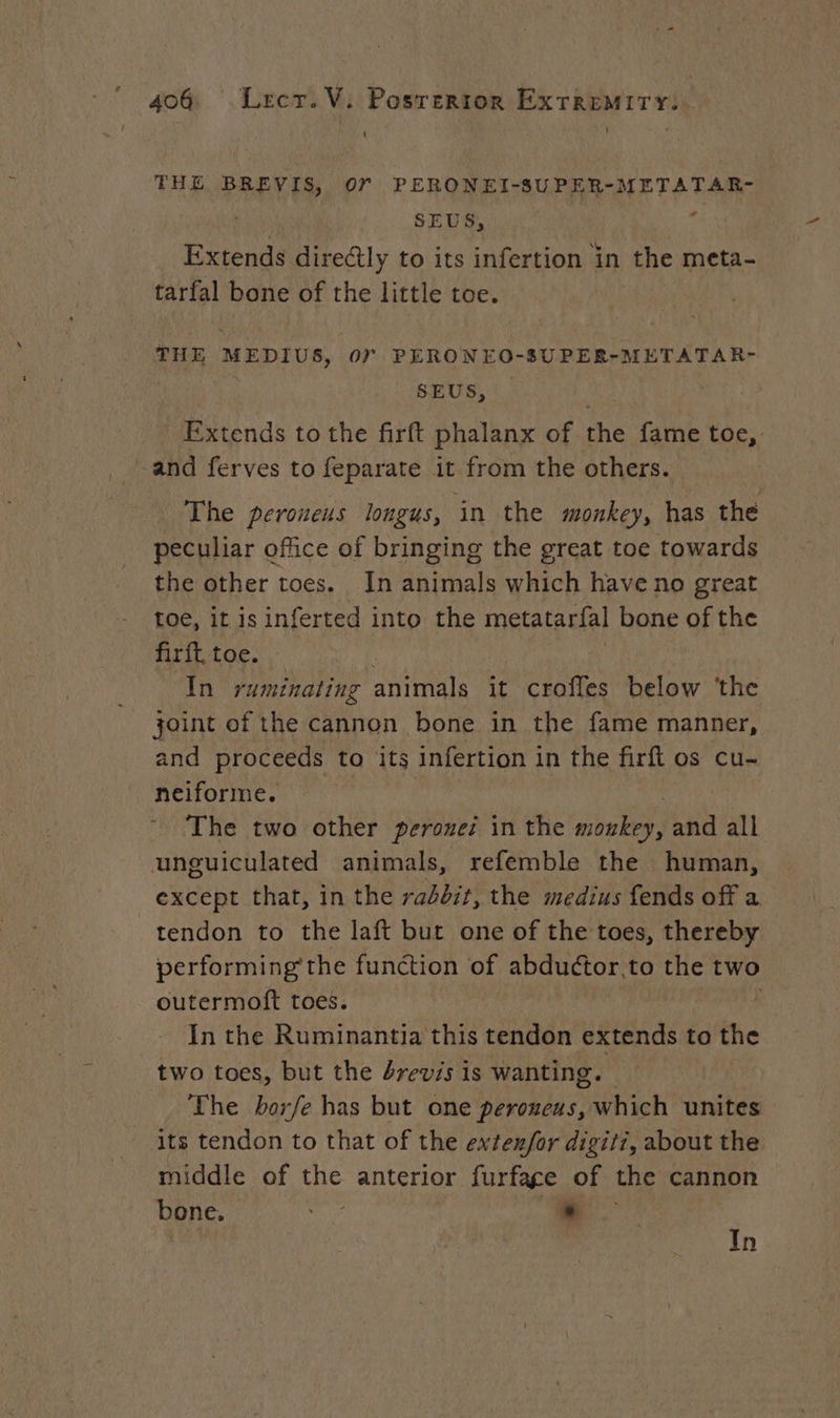 1 THE BREVIS, or PERONEI-SUPER-METATAR- Fa SEUS, : Extends directly to its infertion in the meta- tarfal bone of the little toe. THE MEDIUS, or PERONEO-8UPER-METATAR- SEUS, — Extends to the firft phalanx of he fame toe, -and ferves to feparate it from the others. The peroueus longus, in the monkey, has the peculiar office of bringing the great toe towards the other toes. In animals which have no great toe, it isinferted into the metatarfal bone of the RR sGr | In ruminating RO it croffes below ‘the _ joint of the cannon bone in the fame manner, and proceeds to its infertion in the firft os cu- neiforme. The two other perozes in the abated, and all unguiculated animals, refemble the human, except that, in the rabbit, the medius fends off a tendon to the laft but one of the toes, thereby performing the function of abductor.to the two outermoft toes. | In the Ruminantia this tendon extends to the two toes, but the brevis is wanting. The borfe has but one peroneus, Wietohi unites its tendon to that of the extenfor digitr, about the middle of the anterior furfage of the cannon bone, me | L In