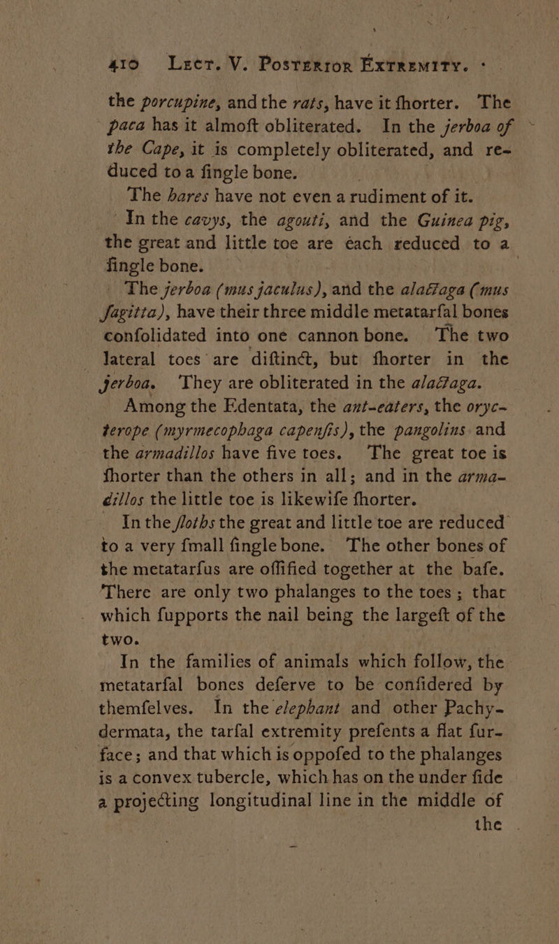 L 110 Lecr. V. Posrerror EXTREMITY. : the porcupine, andthe rats, have it fhorter. The paca has it almoft obliterated. In the jerboa of ~ the Cape, it is completely obliterated, and re- duced to a fingle bone. The bares have not even a rudiment of it. Inthe cavys, the agouti, and the Guinea pig, the great and little toe are éach reduced to a fingle bone. | : The serboa (mus A at and the alafaga (mus Jagitta), have their three middle metatarfal bones confolidated into one cannon bone. The two _ lateral toes are diftinct, but fhorter in the Jerboa. They are obliterated in the a/a&aga. Among the Edentata, the anf-eaters, the oryc- _ derope (myrmecophaga capenfis), the pangolins and the armadillos have five toes. The great toe is fhorter than the others in all; and in the arma- dillos the little toe is likewife fhorter. _ Inthe floths the great and little toe are reduced to a very fmall fingle bone. The other bones of the metatarfus are offified together at the bafe. There are only two phalanges to the toes ; that which fupports the nail being the largeft of the two. In the families of animals which follow, the metatarfal bones deferve to be confidered by themfelves. In the elephant and other Pachy- dermata, the tarfal extremity prefents a flat fur- face; and that which is oppofed to the phalanges is a convex tubercle, which has on the under fide a projecting longitudinal line in the middle of Lie _