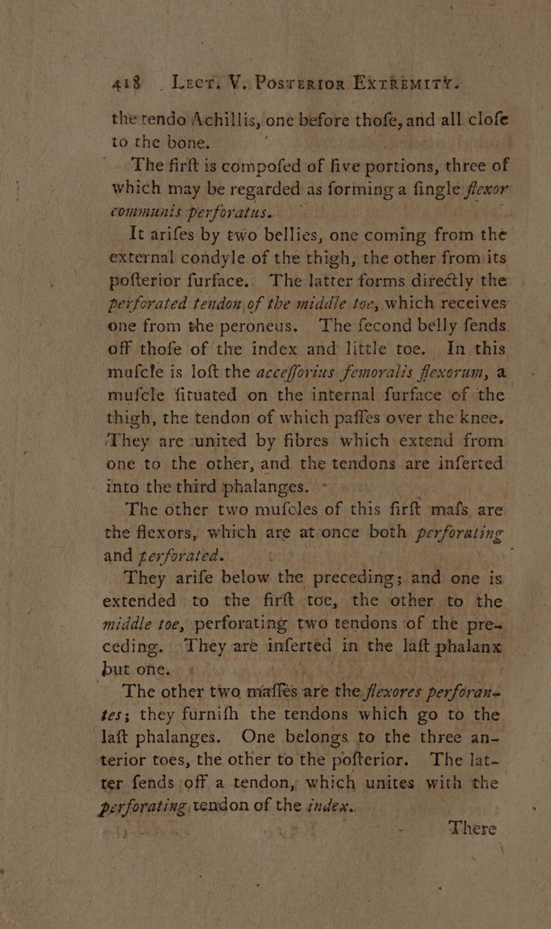 the tenda Achillis, one before thofe, and all clofe to the bone. The firft is compofed of five portions, three of which may be regarded | as forming a fingle flexor communis perforatus.. | It arifes by two bellies, one coming from the external condyle of the thigh, the other from its pofterior furface.. The latter forms directly the. perforated tendon of the middle toc, which receives one from the peroneus. The fecond belly fends off thofe of the index and little toe. In this mufcle is loft the accefforius femoralis flexorum, a mufcle fituated on the internal furface of the thigh, the tendon of which paffes over the knee. ‘They are united by fibres which extend from one to the other, and the tendons are inferted into the third phalanges. % The other two mufoles of this firft mafs are the flexors, which are at once both perforating and ferforated. They arife below the es and one is extended to the firft toe, the iether ie the middle toe, perforating two tendons of the pres. ceding. They are inferted in the laft phalanx | but one. The other two nés à are Fi Det perforane tes; they furnifh the tendons which go to the dat phalanges. One belongs to the three an- ‘terior toes, the other to the pofterior. The lat- ter fends off a tendon, which unites with the pe gs tendon of the index. ea - There