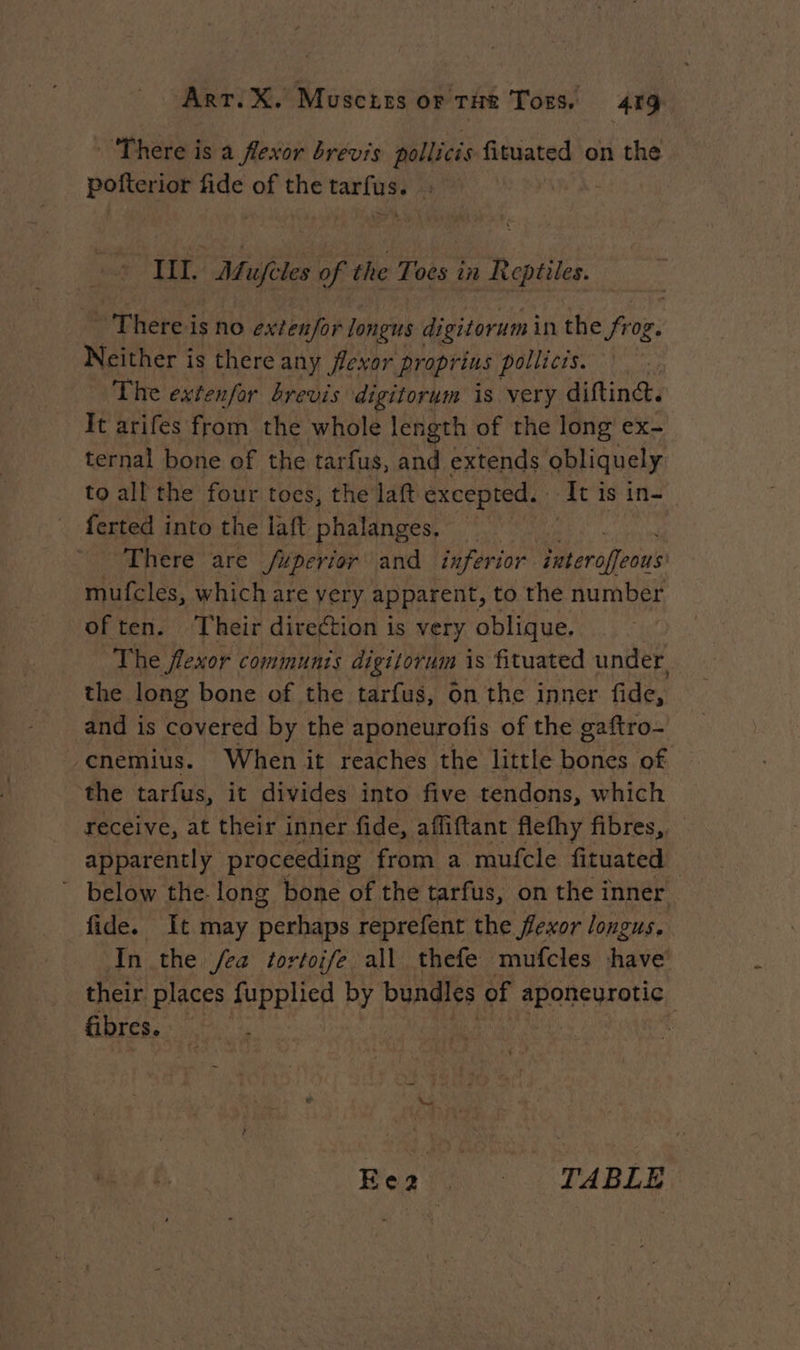 There is a flexor brevis pollicis fituated on the pofterior fide of the tarfus. : : III. Mufeles of the Toes in Reptiles. ~ There is no extenfor longus digitorum in the frog. Neither is there any flexor proprius pollicis. , The extenfor brevis digitorum is very diftinct. It arifes from the whole length of the long ex- ternal bone of the tarfus, and extends obliquely to all the four toes, the laf excepted. dti is in ferted into the laft phalanges, There are Superior and inferior erafeens mufcles, which are very apparent, to the number often. Their direction is very oblique. The flexor communis digitorum is fituated under, the long bone of the tarfus, on the inner fide, and is covered by the aponeurofis of the gaftro- cnemius. When it reaches the little DUR of the tarfus, it divides into five tendons, which receive, at their i inner fide, affiftant flefhy fibres,. apparently proceeding from a mufcle fituated | ~ below the-long bone of the tarfus, on the inner fide. It may perhaps reprefent the flexor longus. In the fea tortoife all thefe mufcles have their places fupplied by bundles of dponenrotie fibres. Bess. TABLE